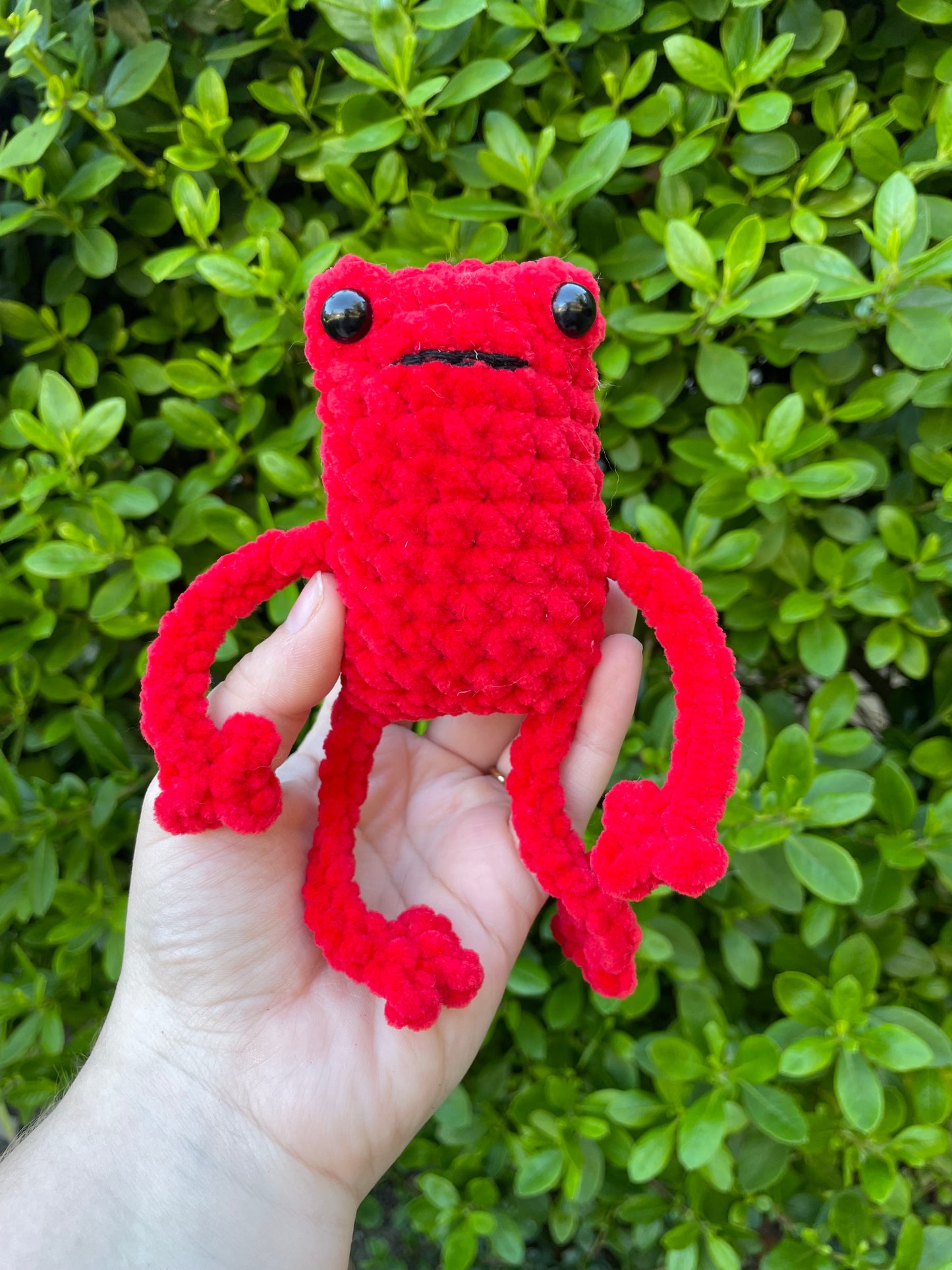 Leggy Frog