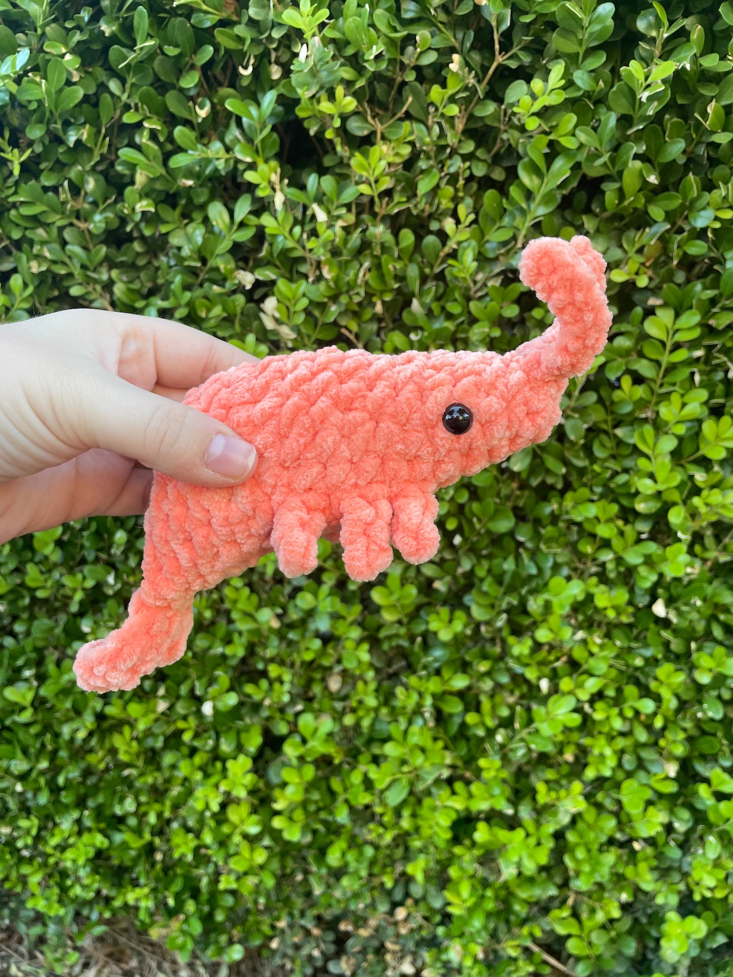 Shrimp
