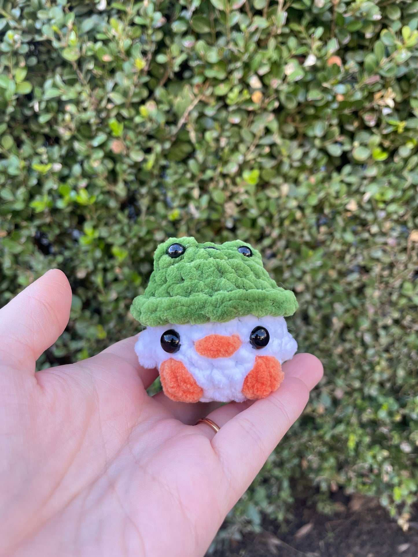 Frog Hat Chick