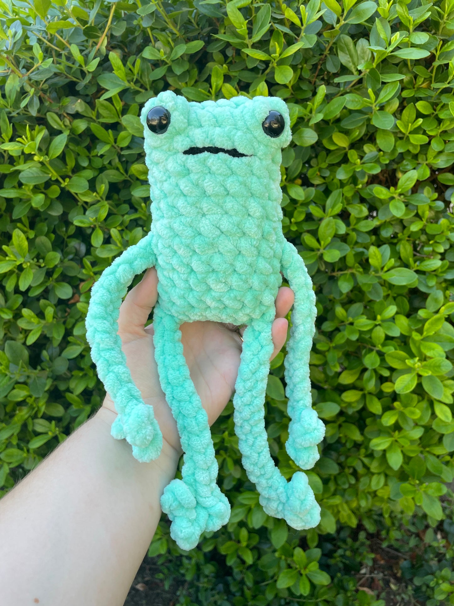 Jumbo Leggy Frog