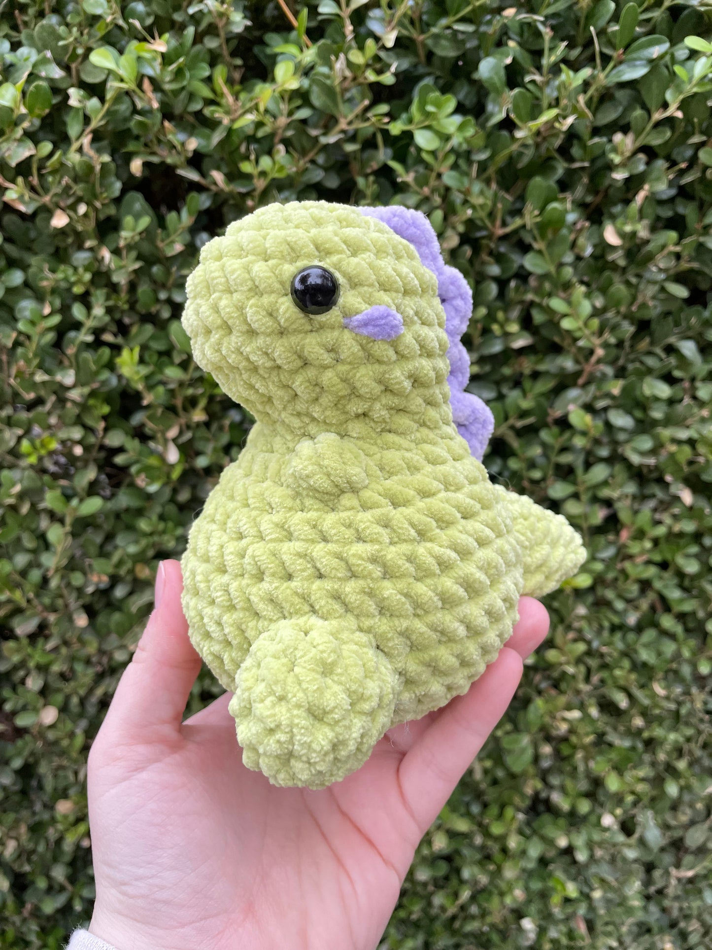 Mini Dino