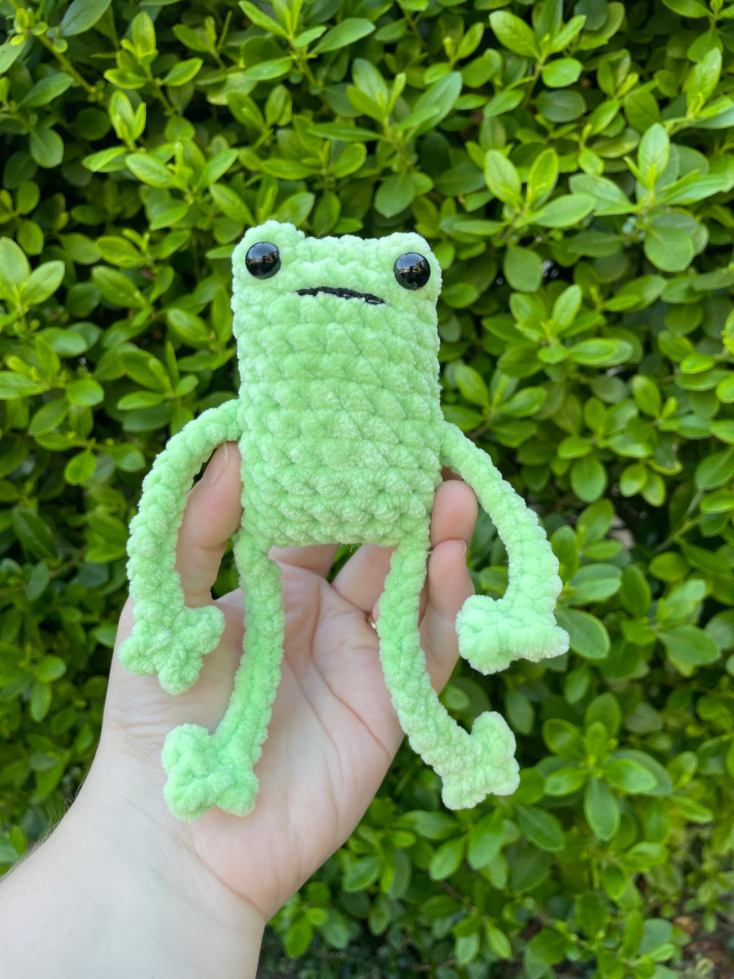 Leggy Frog