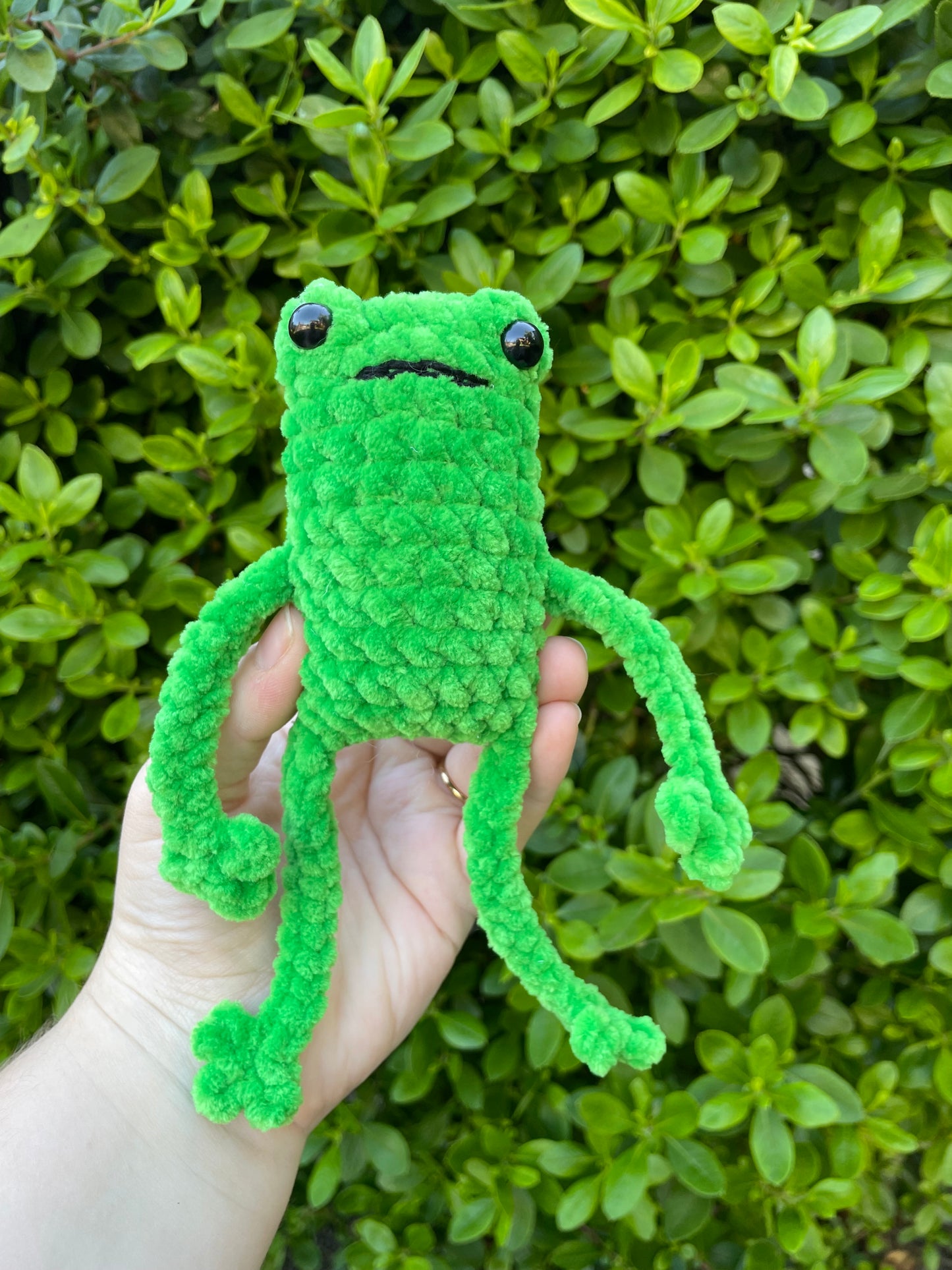 Leggy Frog