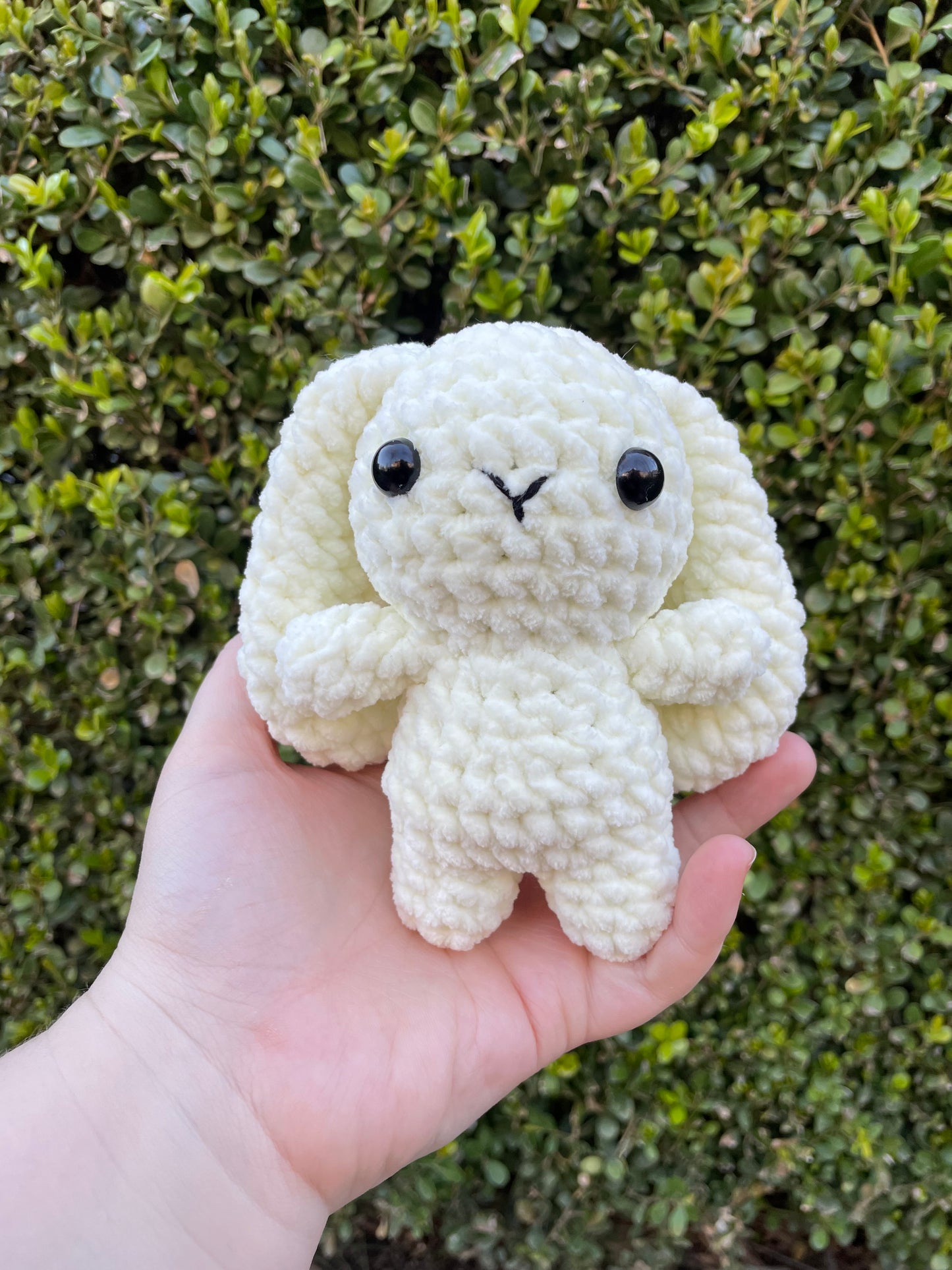 Mini Bunny
