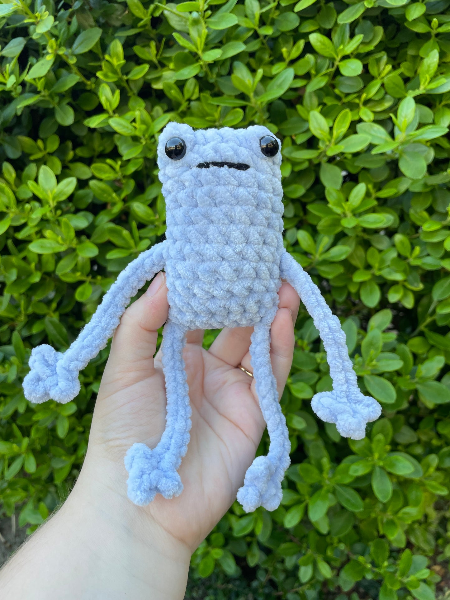 Leggy Frog