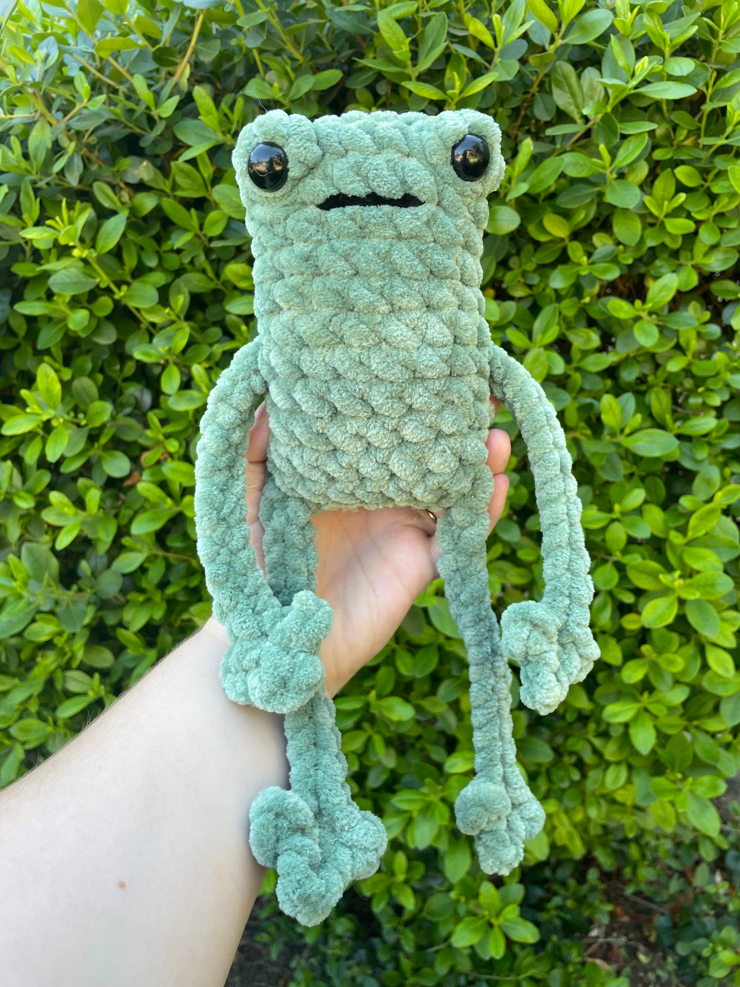 Jumbo Leggy Frog