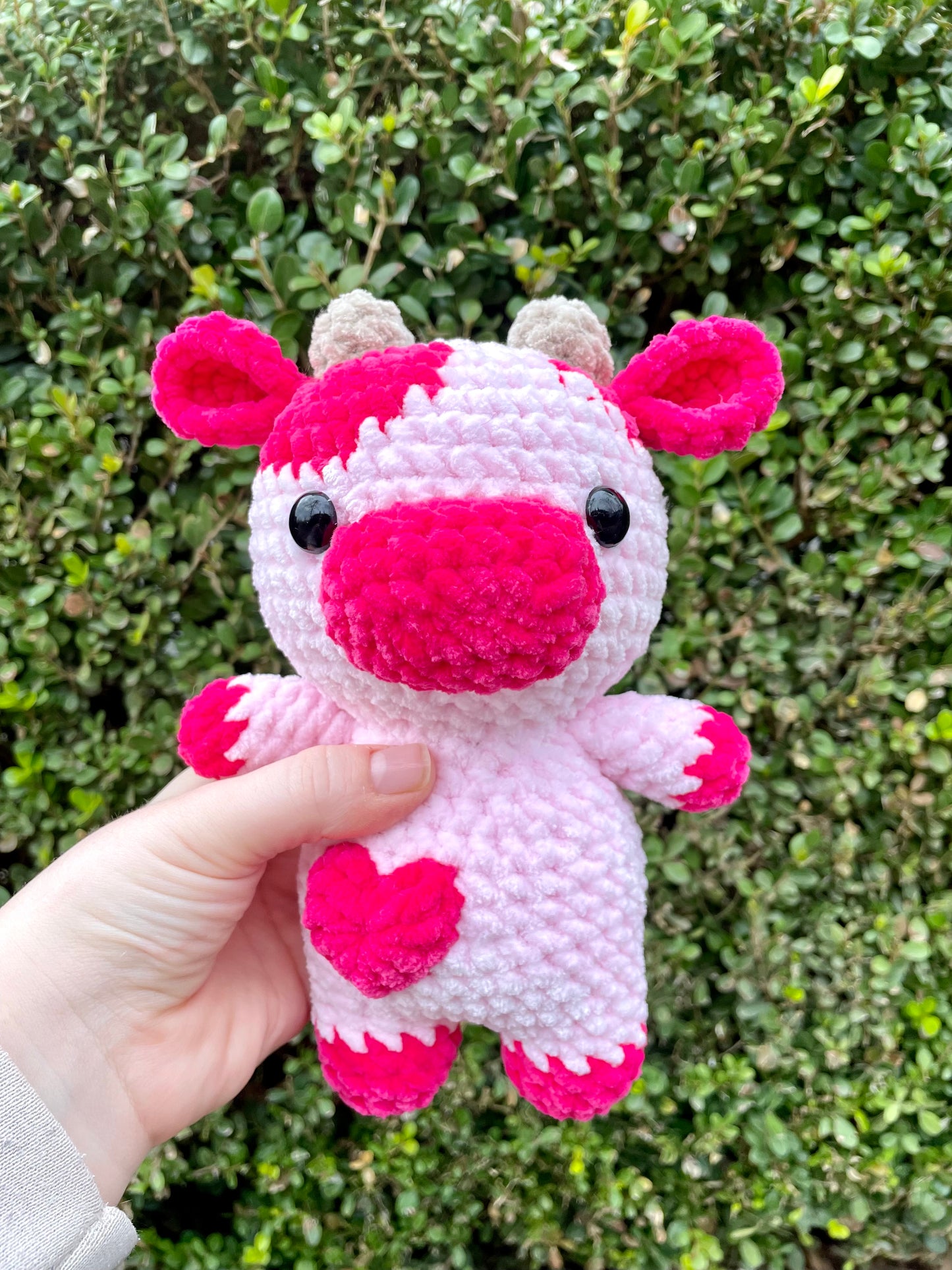 Cow