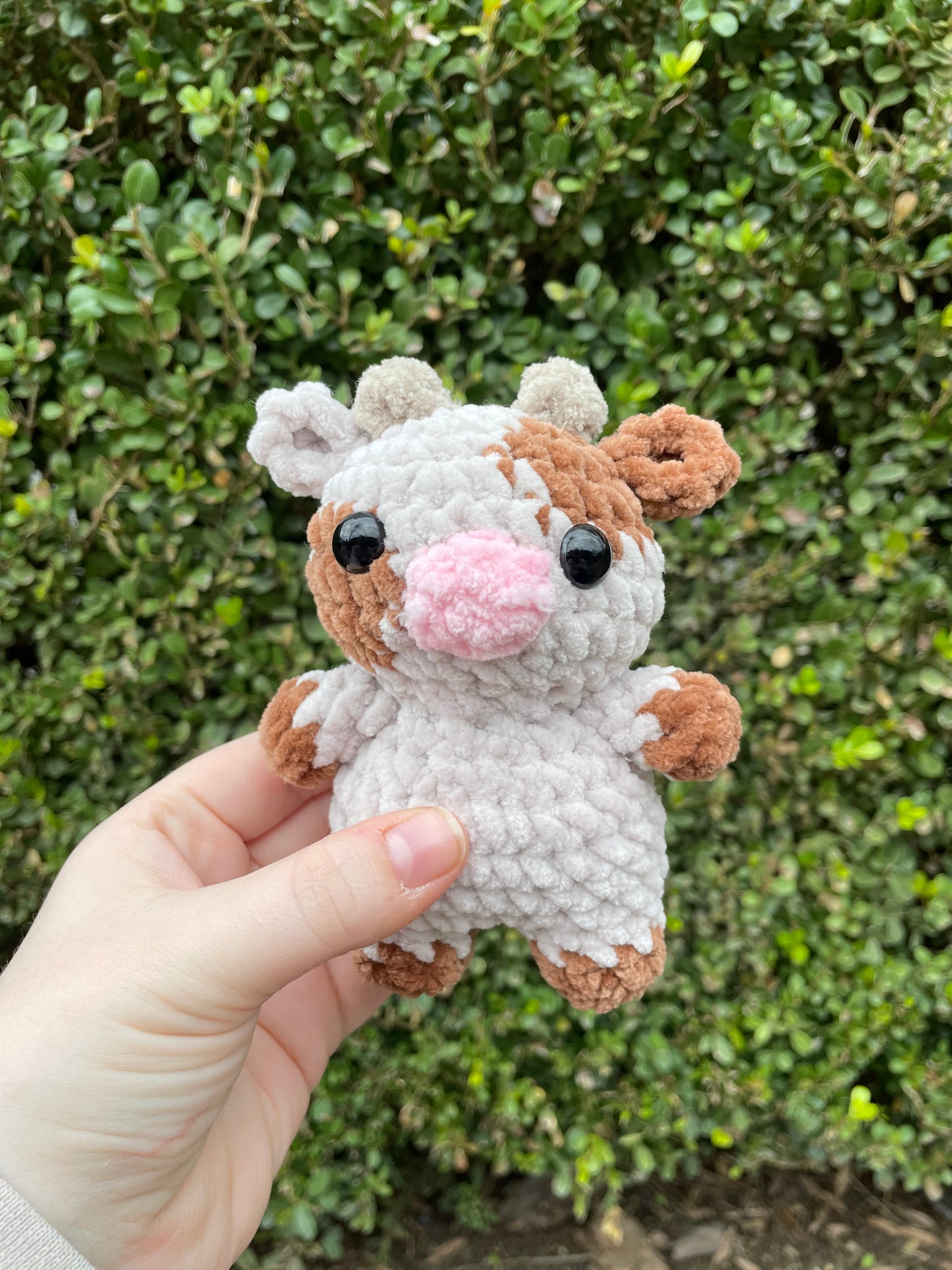 Mini Cow