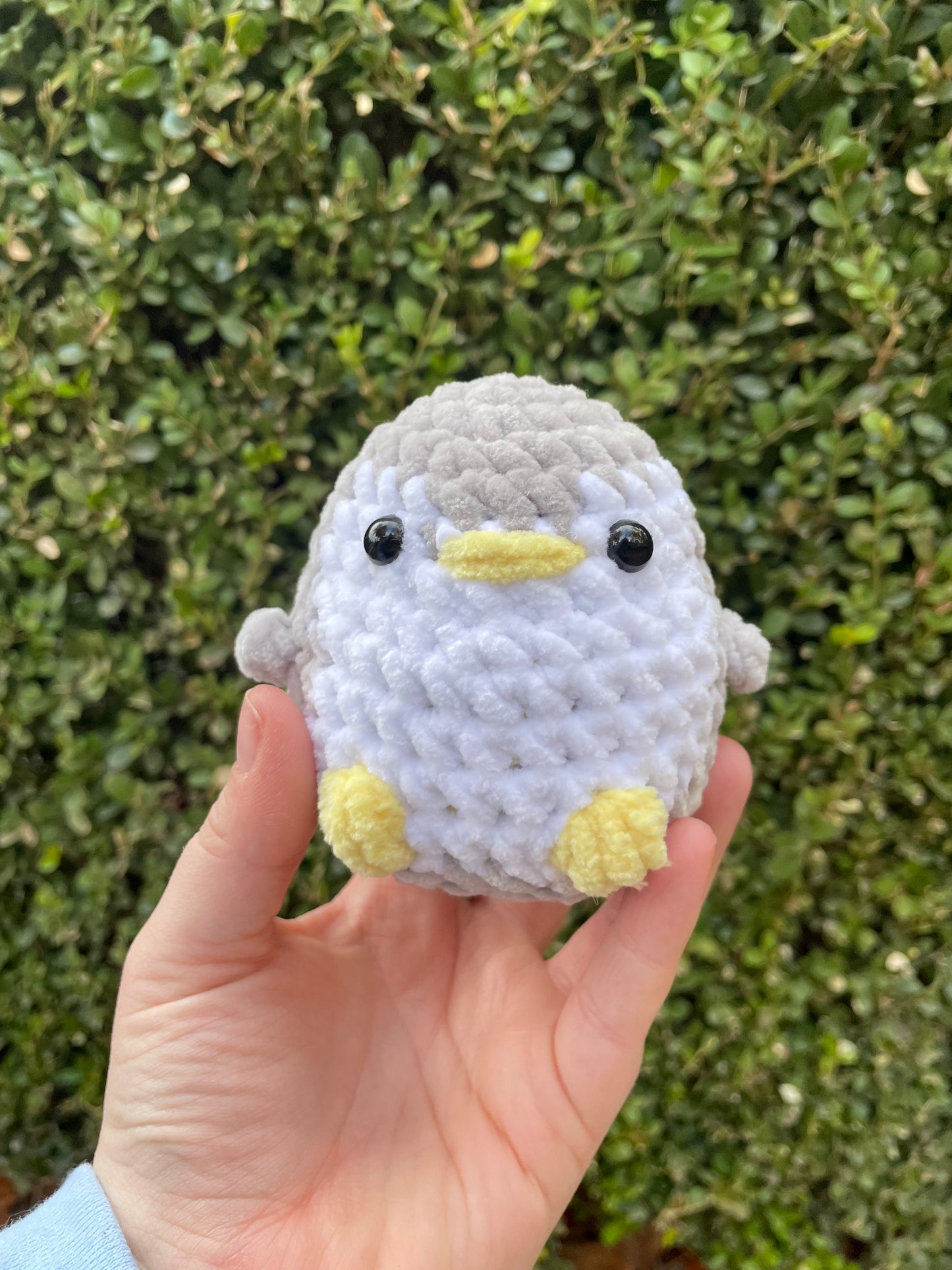 Penguin