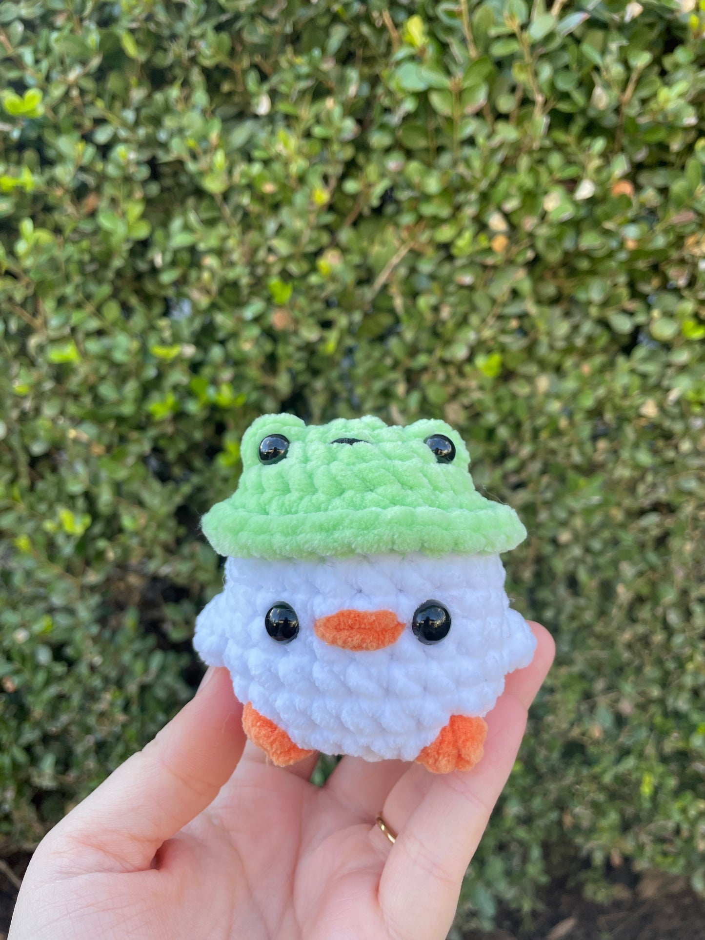 Frog Hat Chick