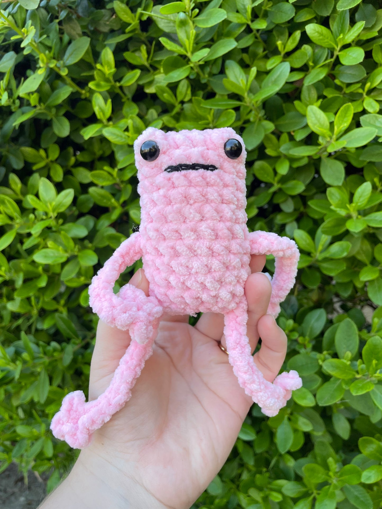 Leggy Frog