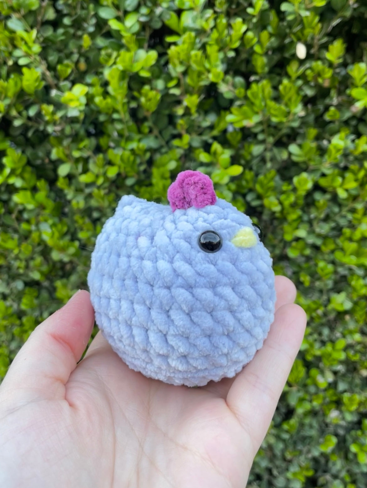 Mabel Chicken