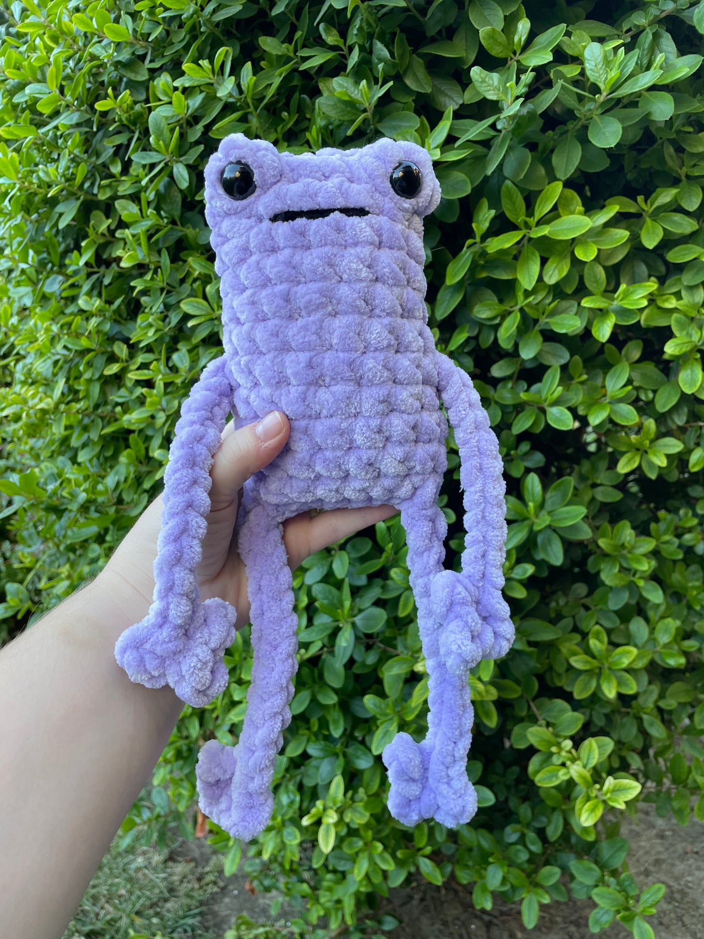 Jumbo Leggy Frog