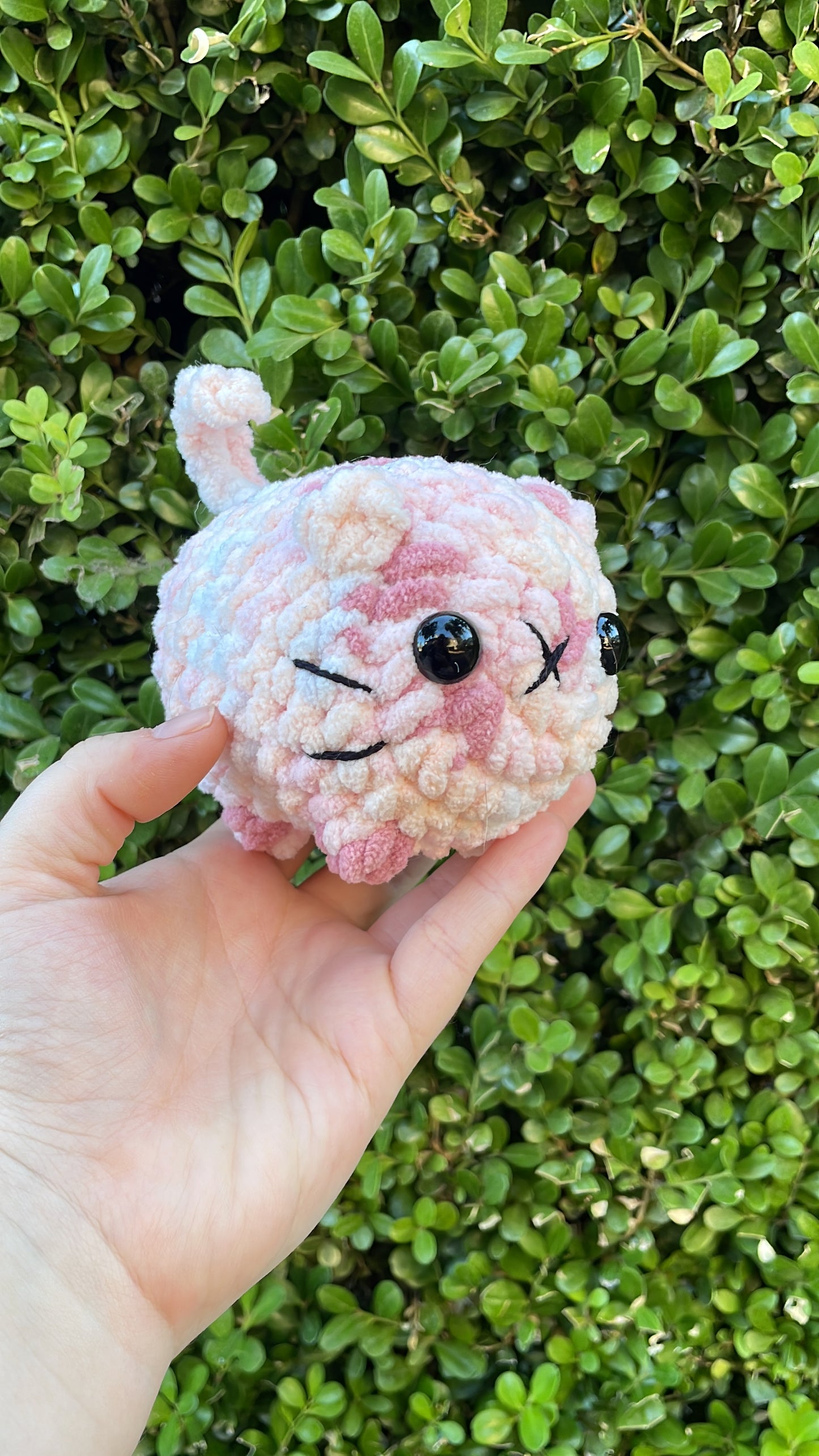 Mystery Mini Loaf Cat - Fun Colors