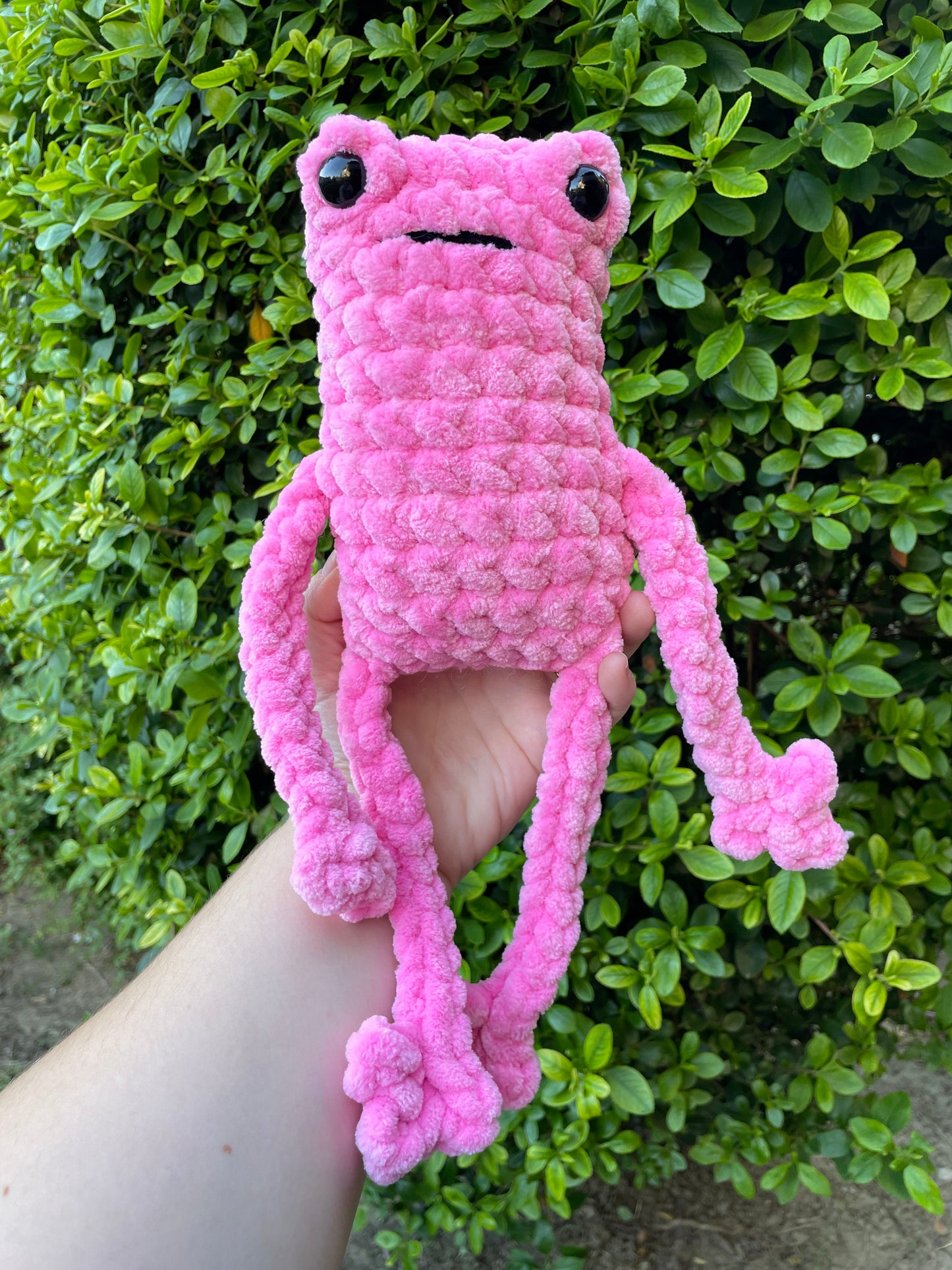 Jumbo Leggy Frog