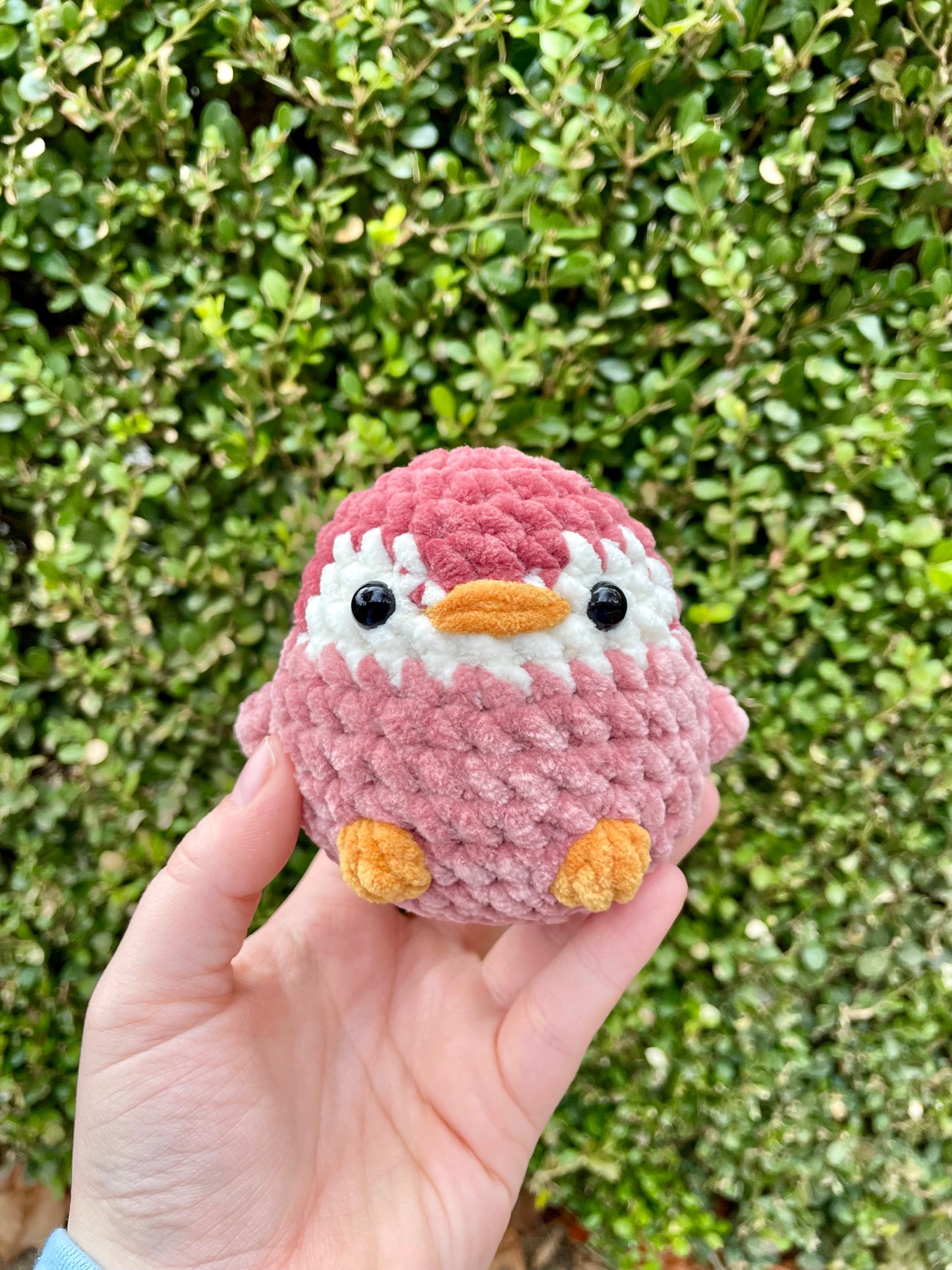 Penguin