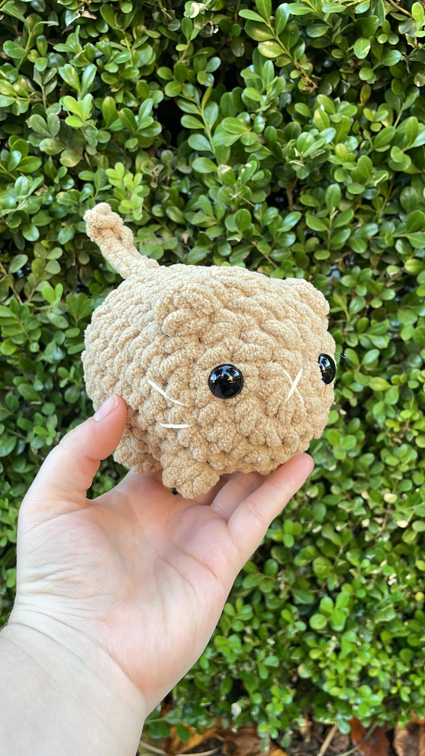 Mystery Mini Loaf Cat - Neutral
