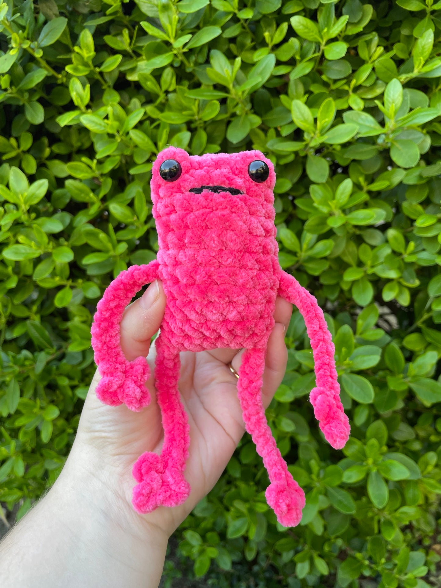 Leggy Frog