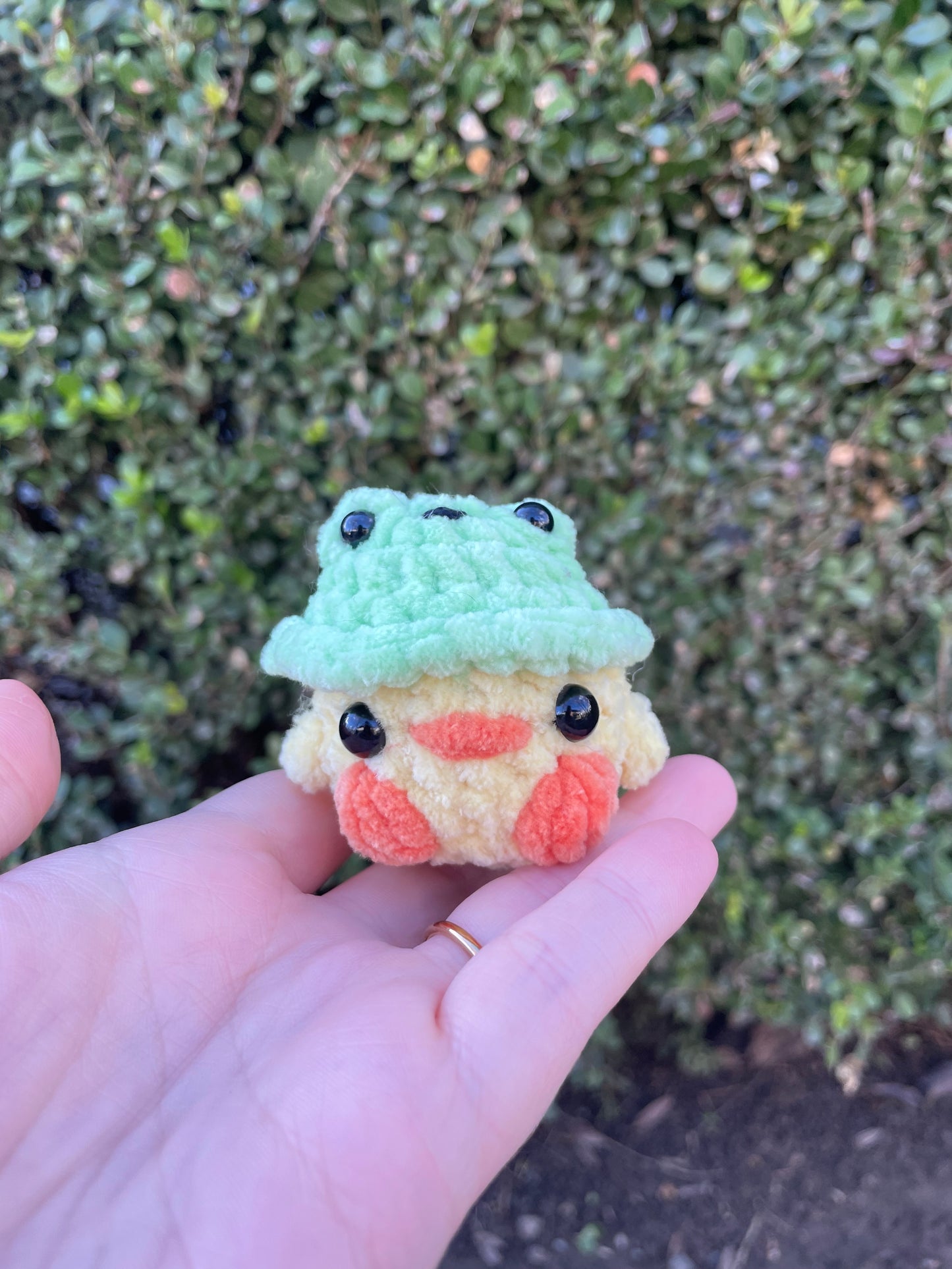 Frog Hat Chick