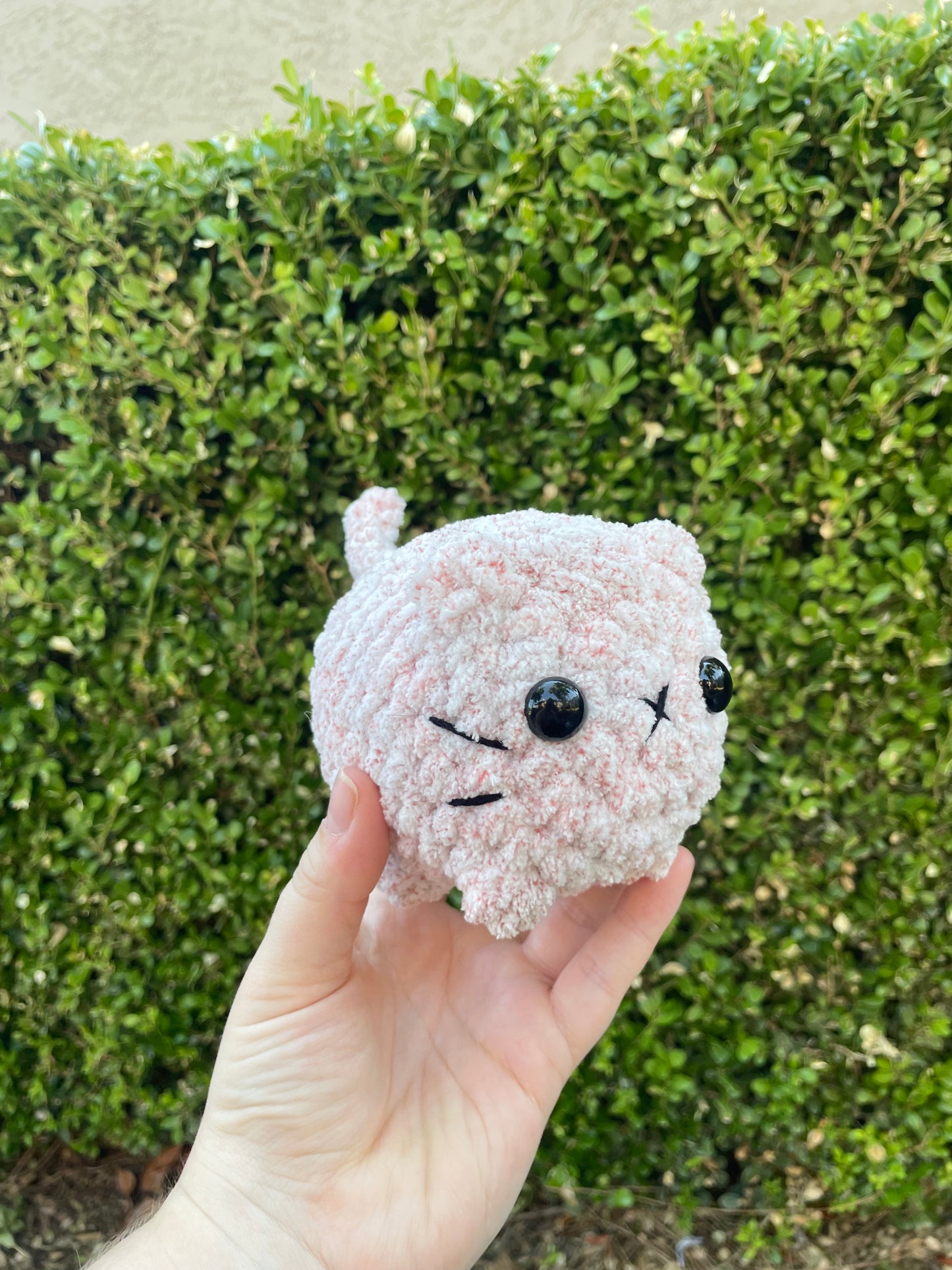 Mystery Mini Loaf Cat - Fun Colors