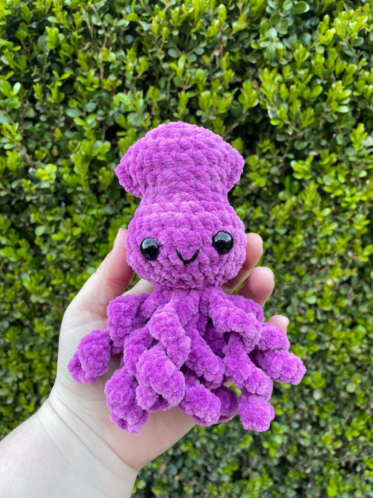 Baby Squid