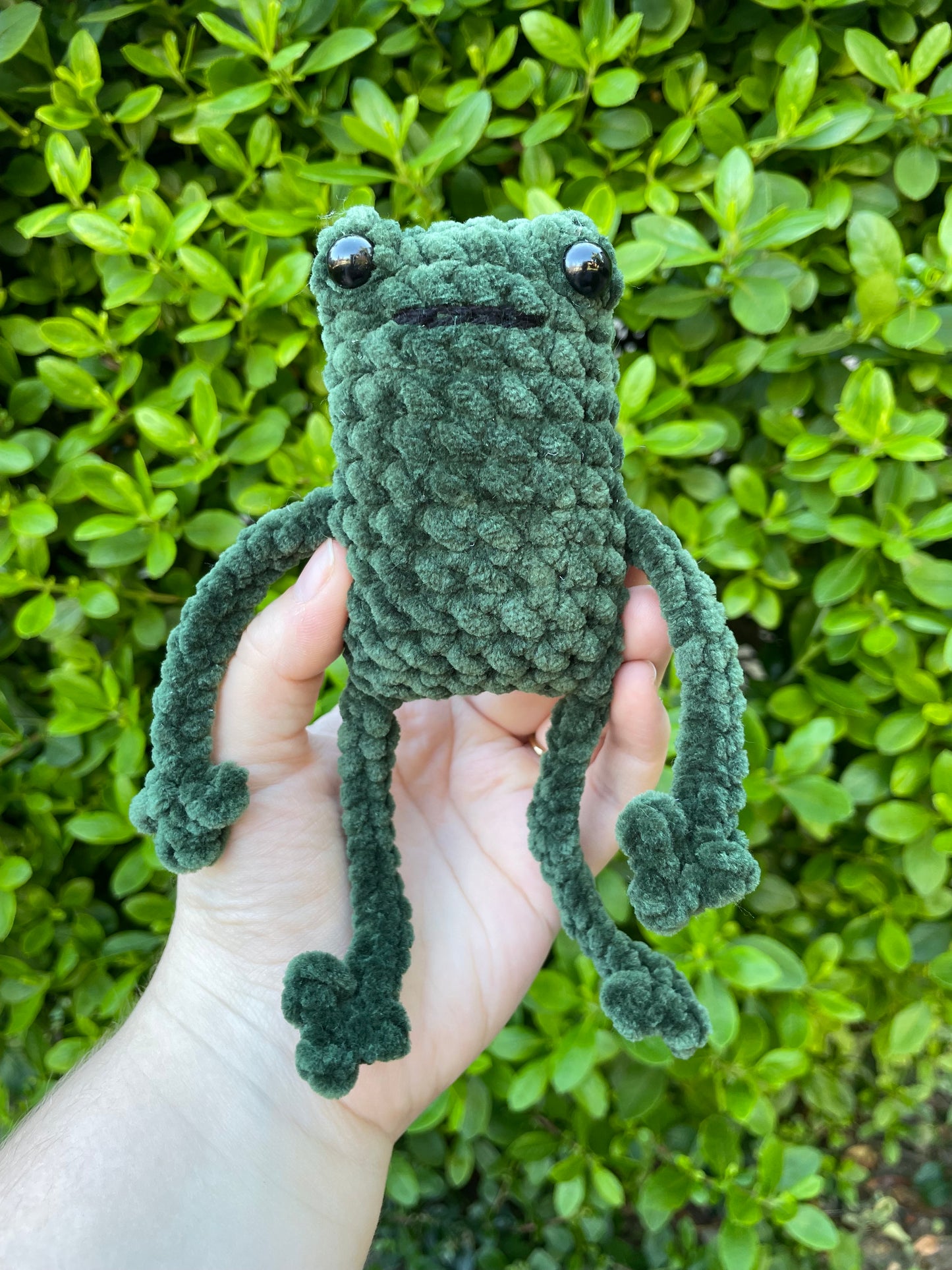 Leggy Frog