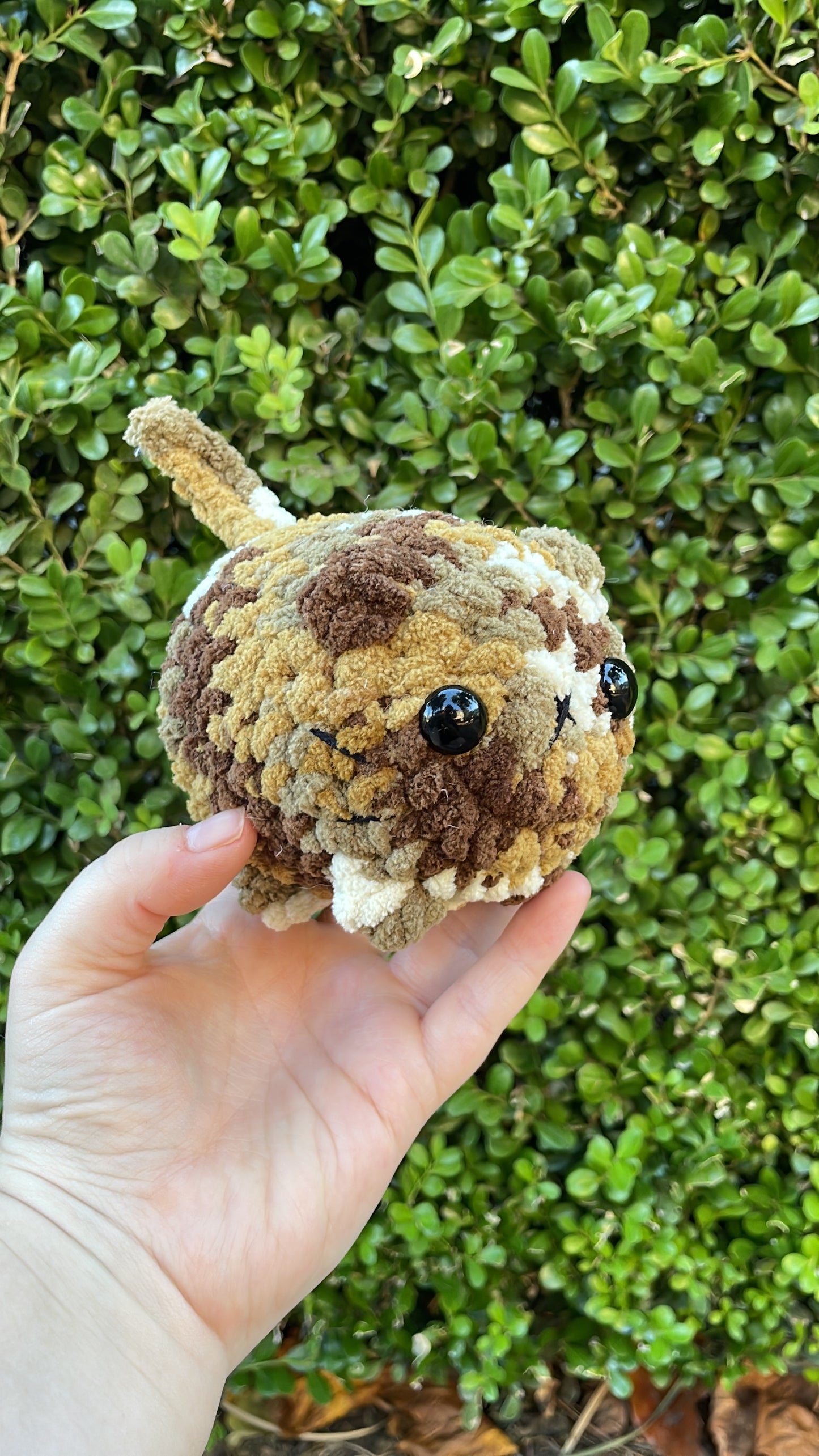 Mystery Mini Loaf Cat - Neutral