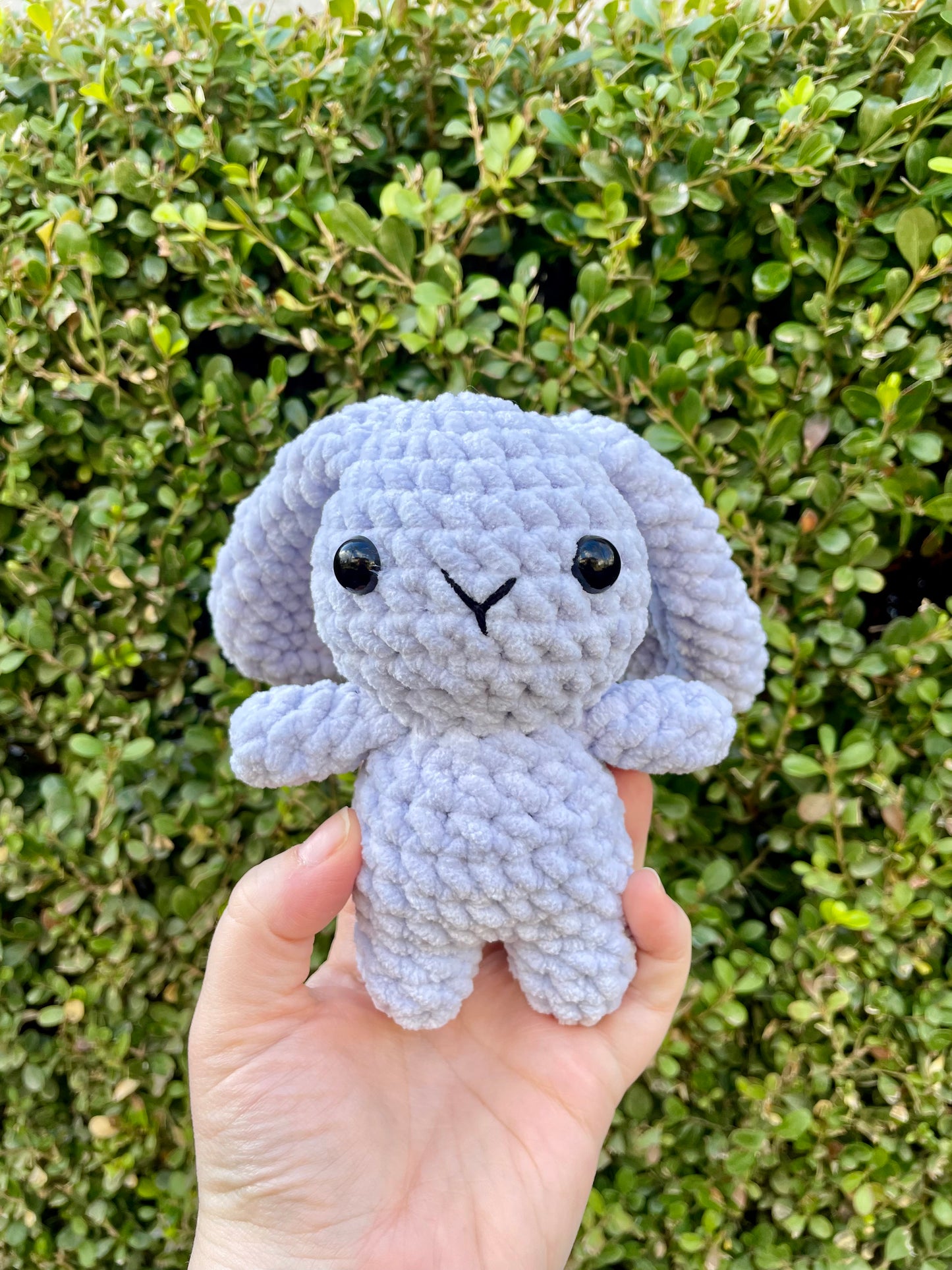 Mini Bunny