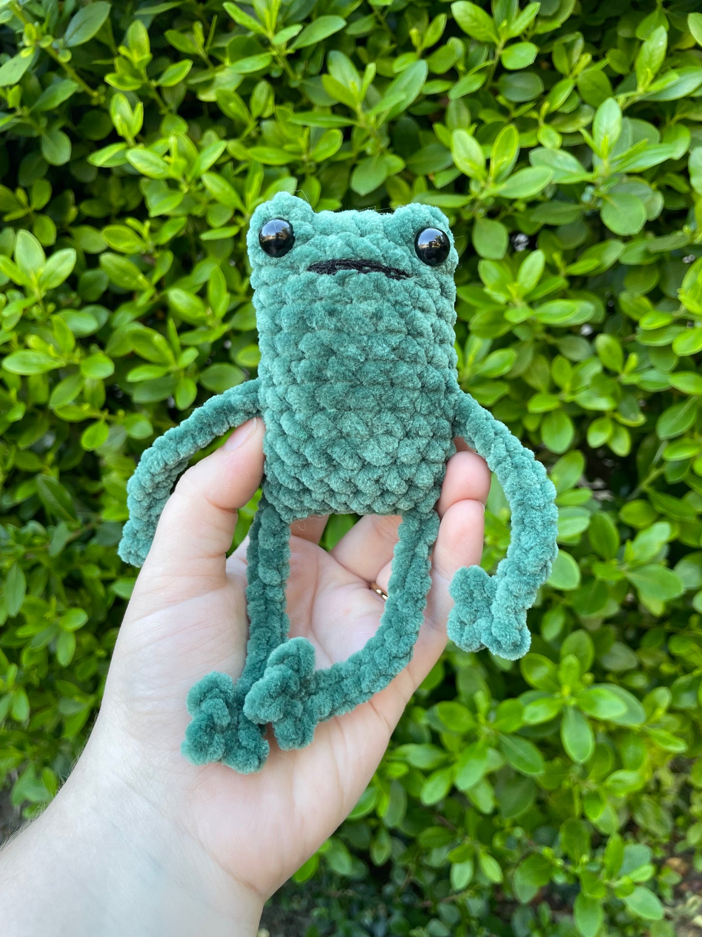 Leggy Frog