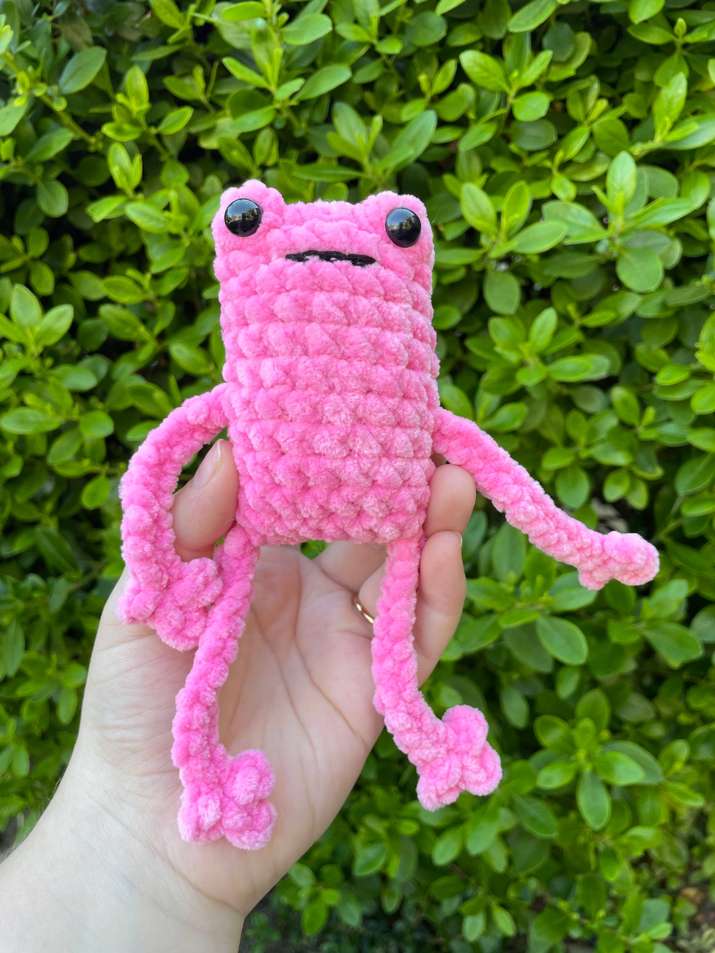 Leggy Frog