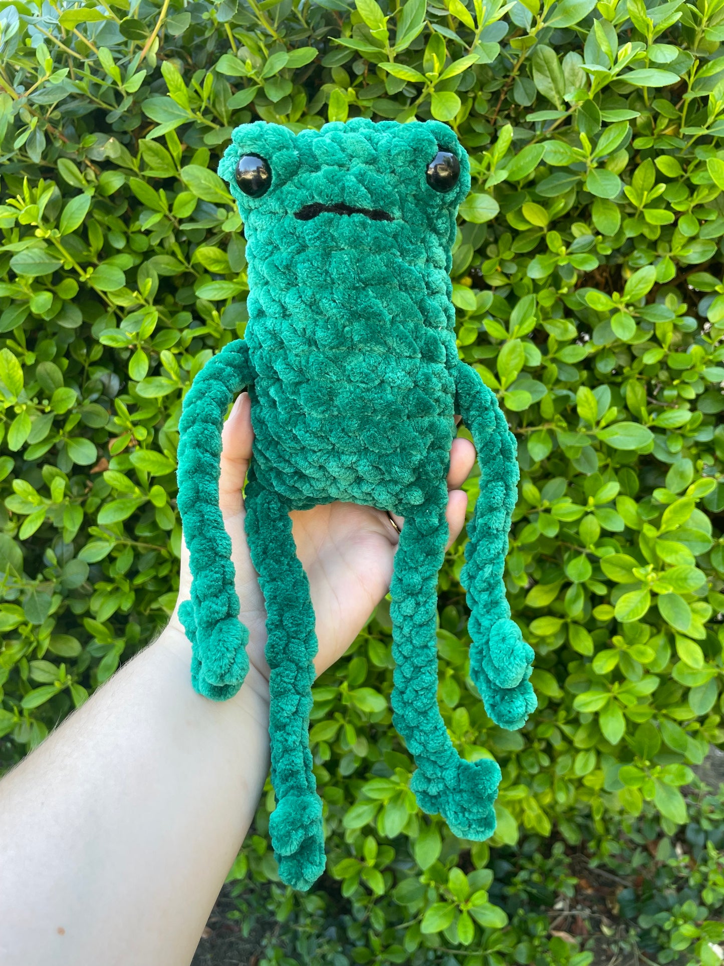 Jumbo Leggy Frog