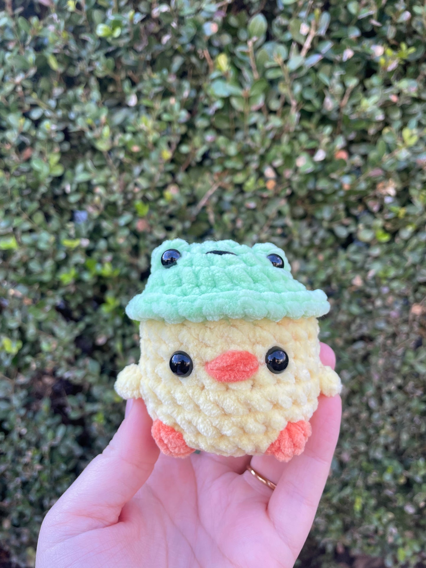 Frog Hat Chick
