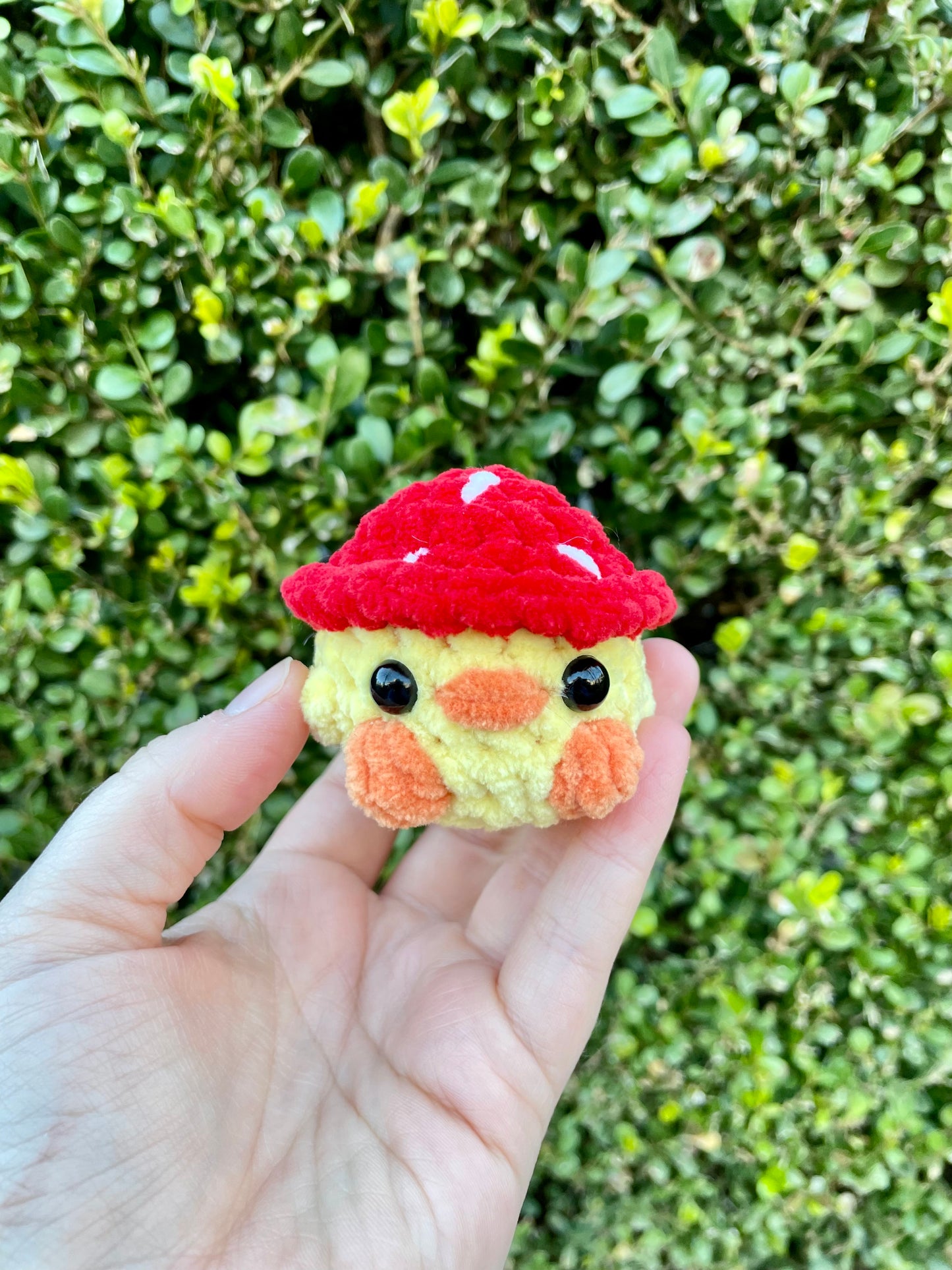 Mushroom Hat Chick
