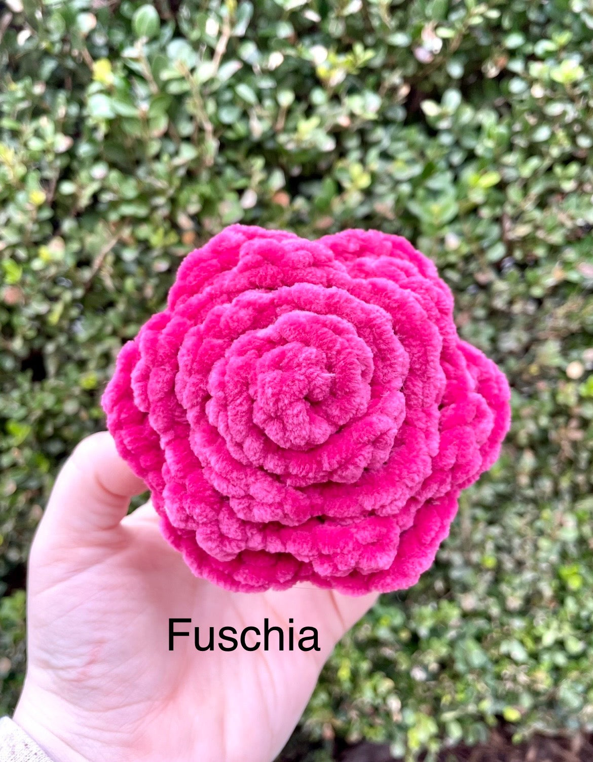 Rose Chonky Boi