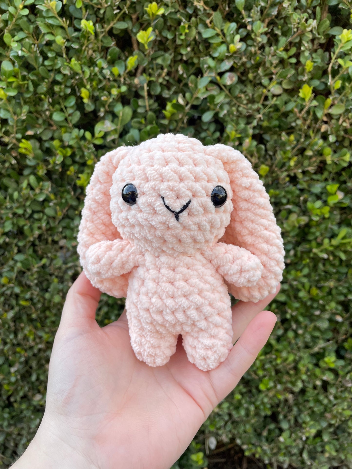 Mini Bunny