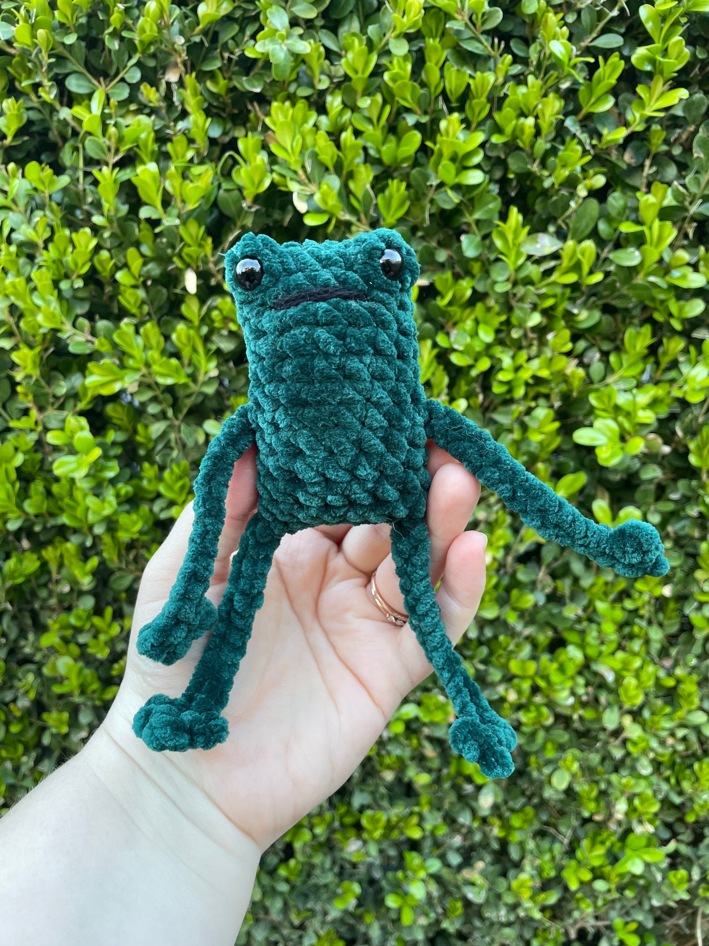Leggy Frog