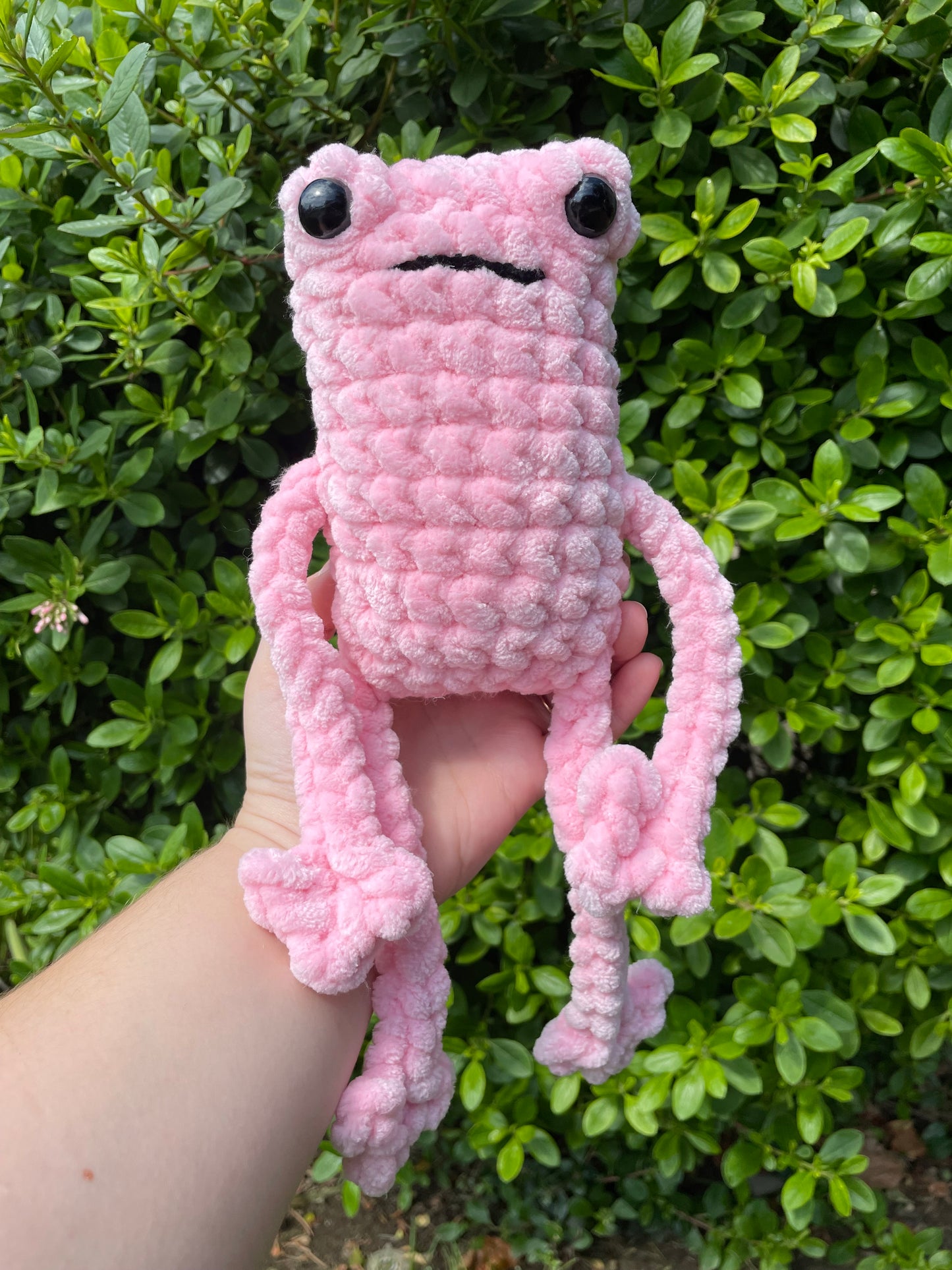 Jumbo Leggy Frog