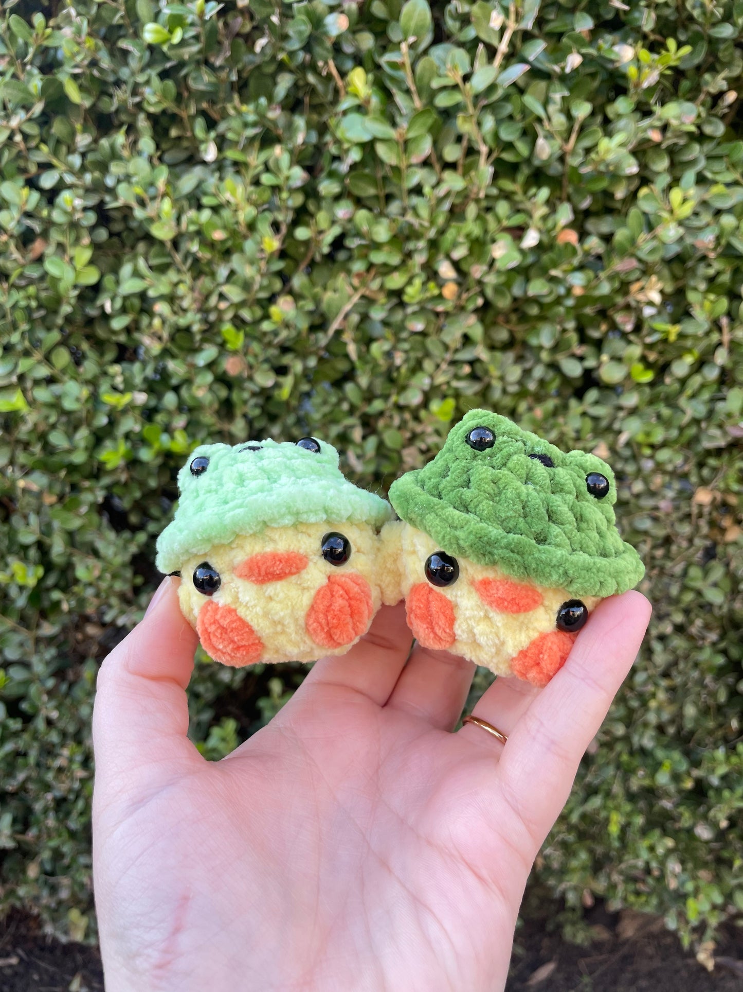 Frog Hat Chick