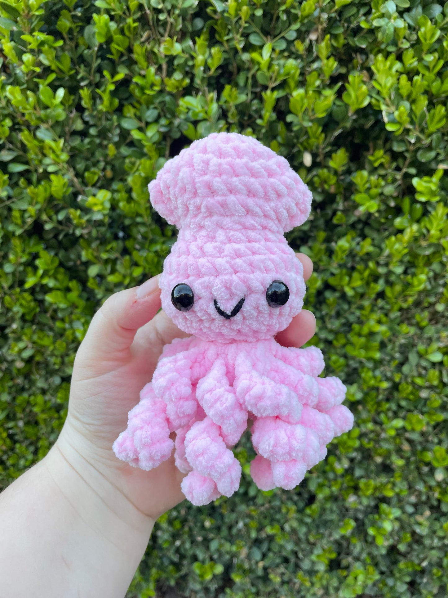 Baby Squid