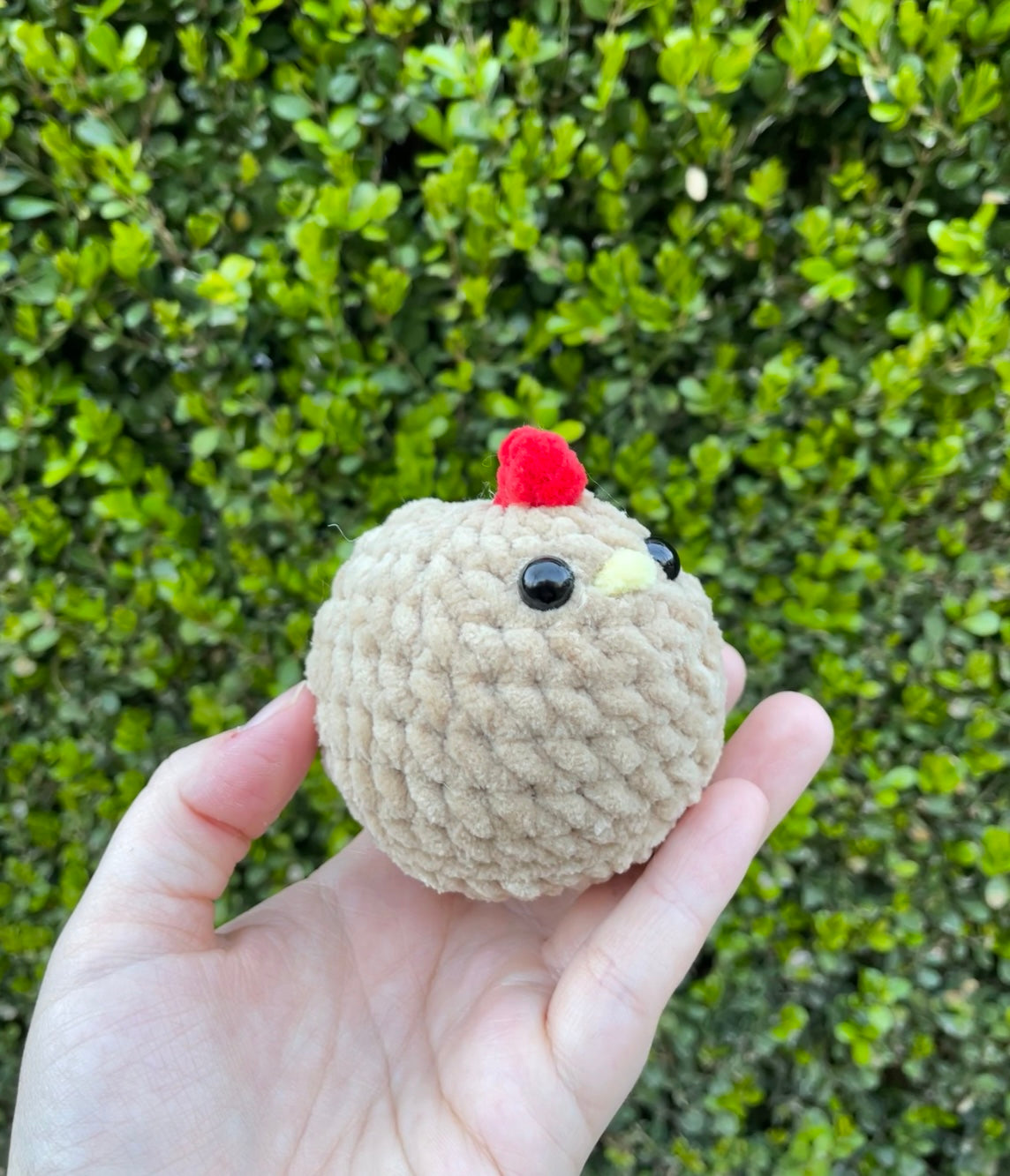 Mabel Chicken