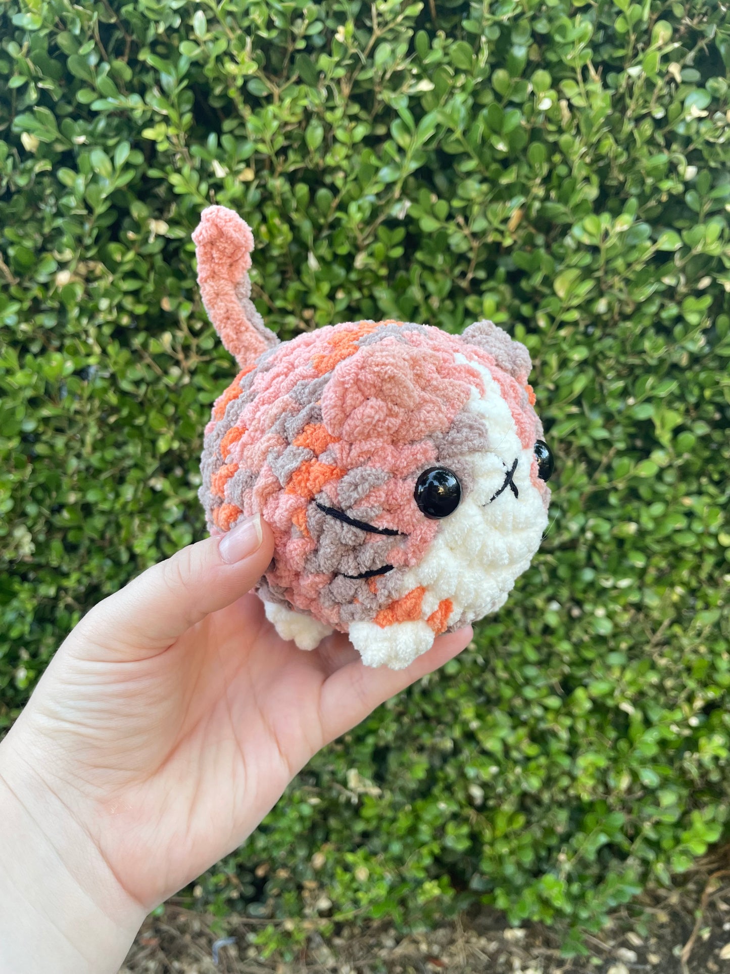 Mystery Mini Loaf Cat - Fun Colors