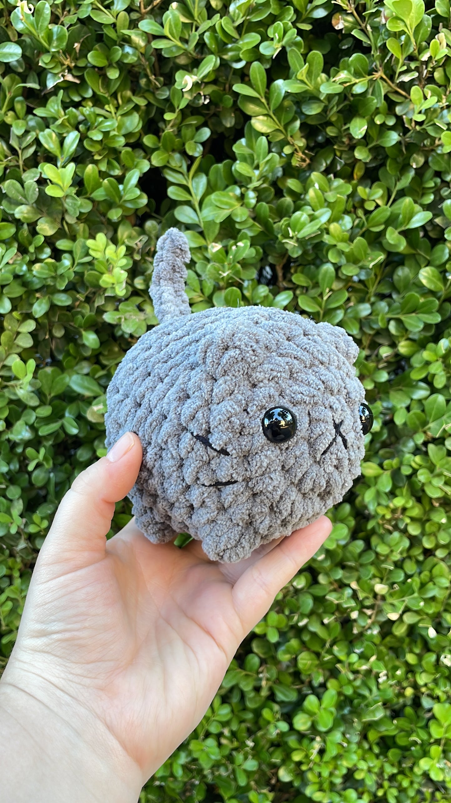 Mystery Mini Loaf Cat - Neutral