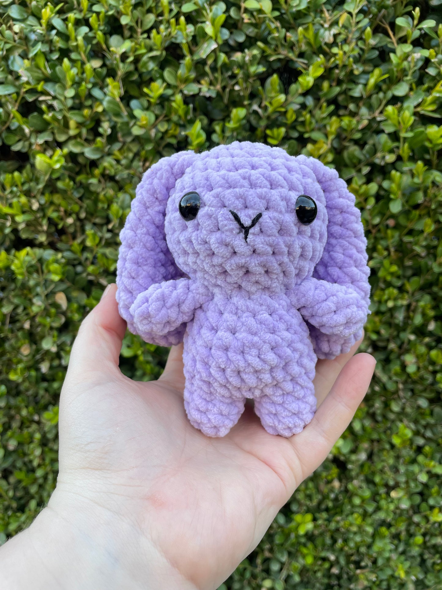 Mini Bunny