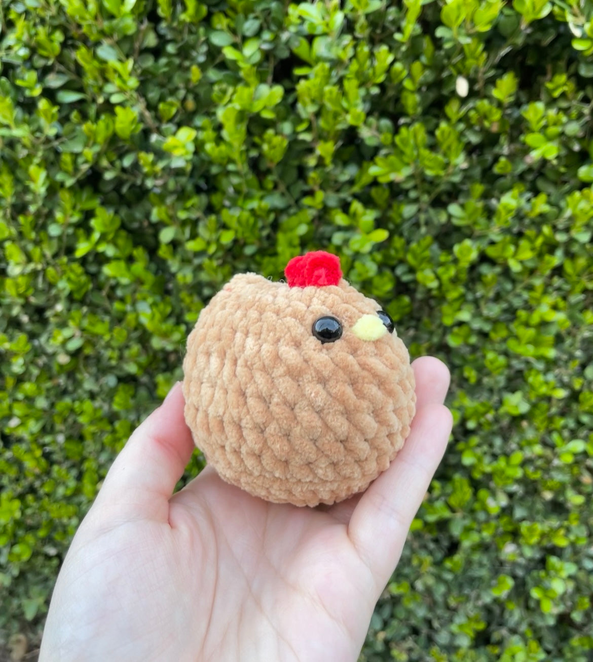 Mabel Chicken