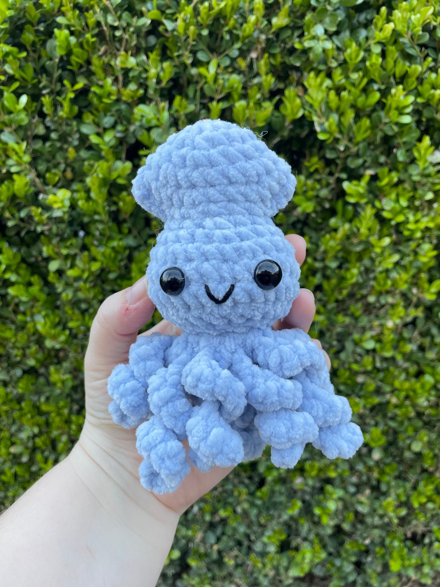 Baby Squid