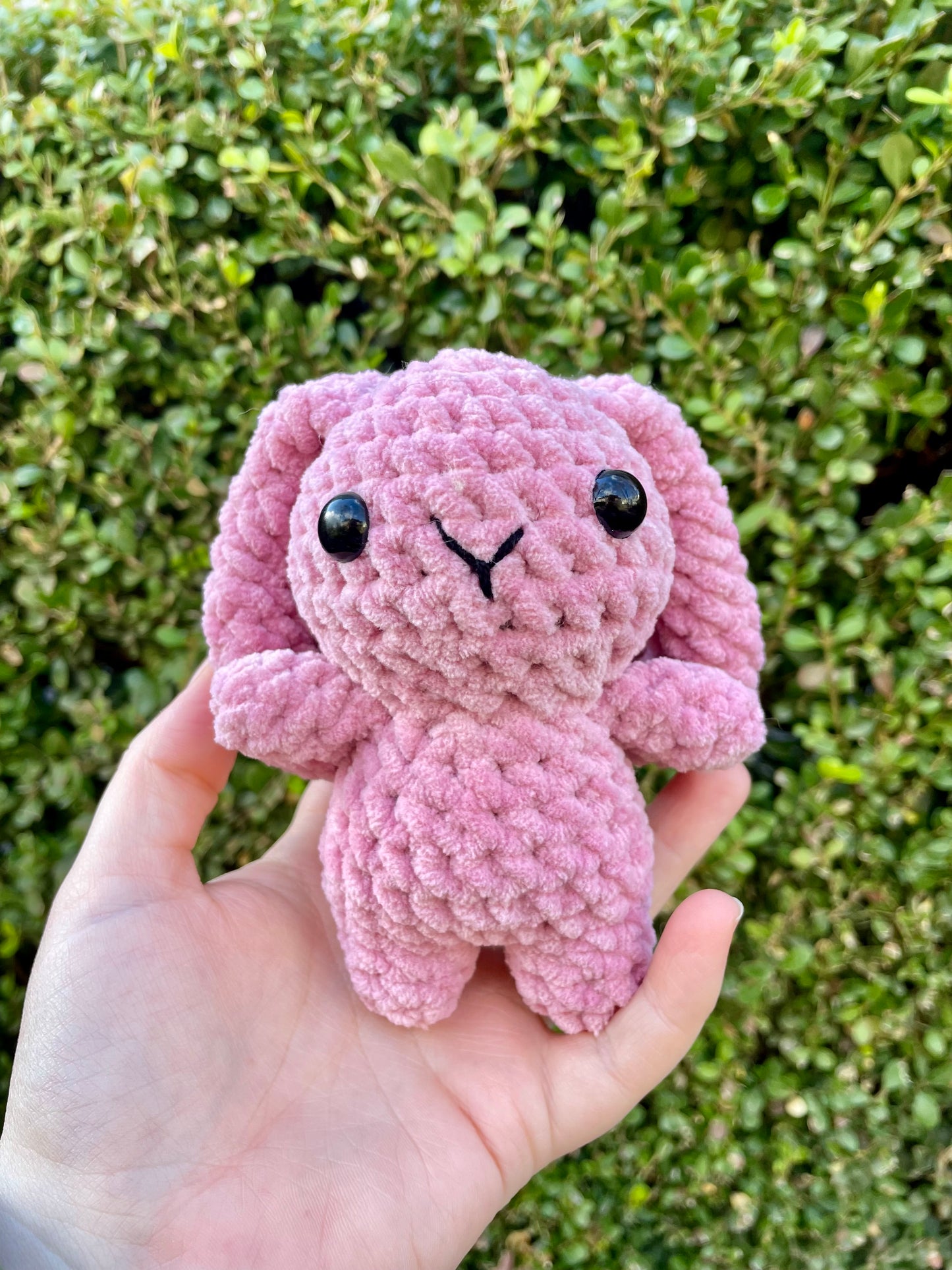 Mini Bunny