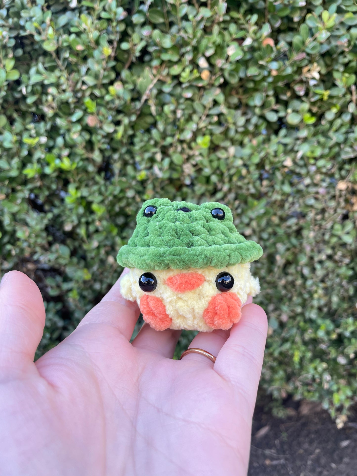 Frog Hat Chick