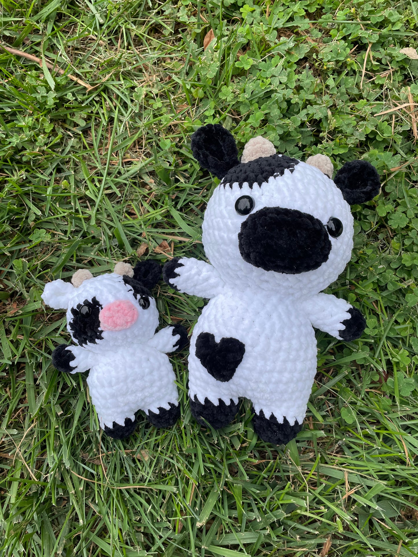 Mini Cow