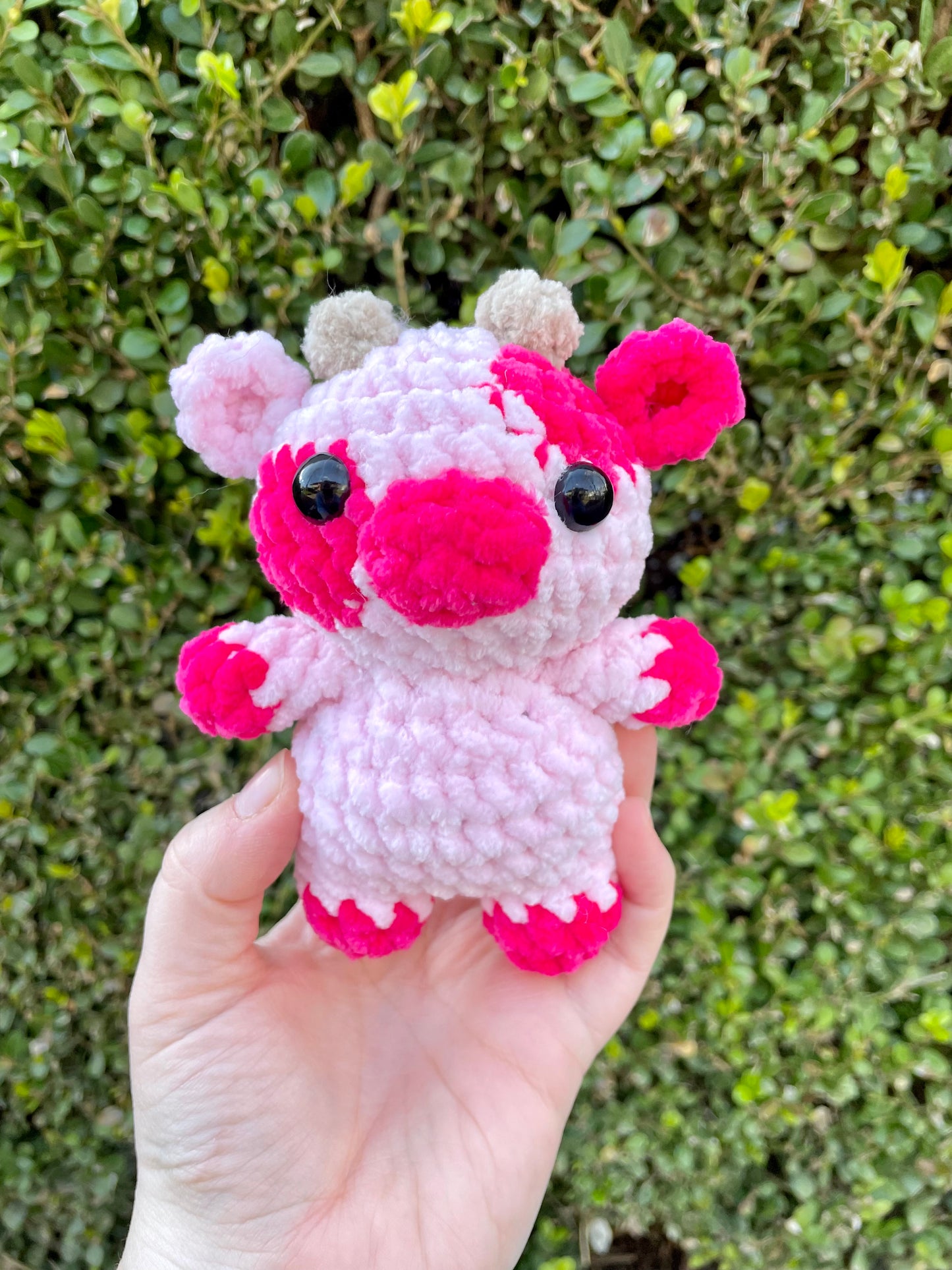 Mini Cow