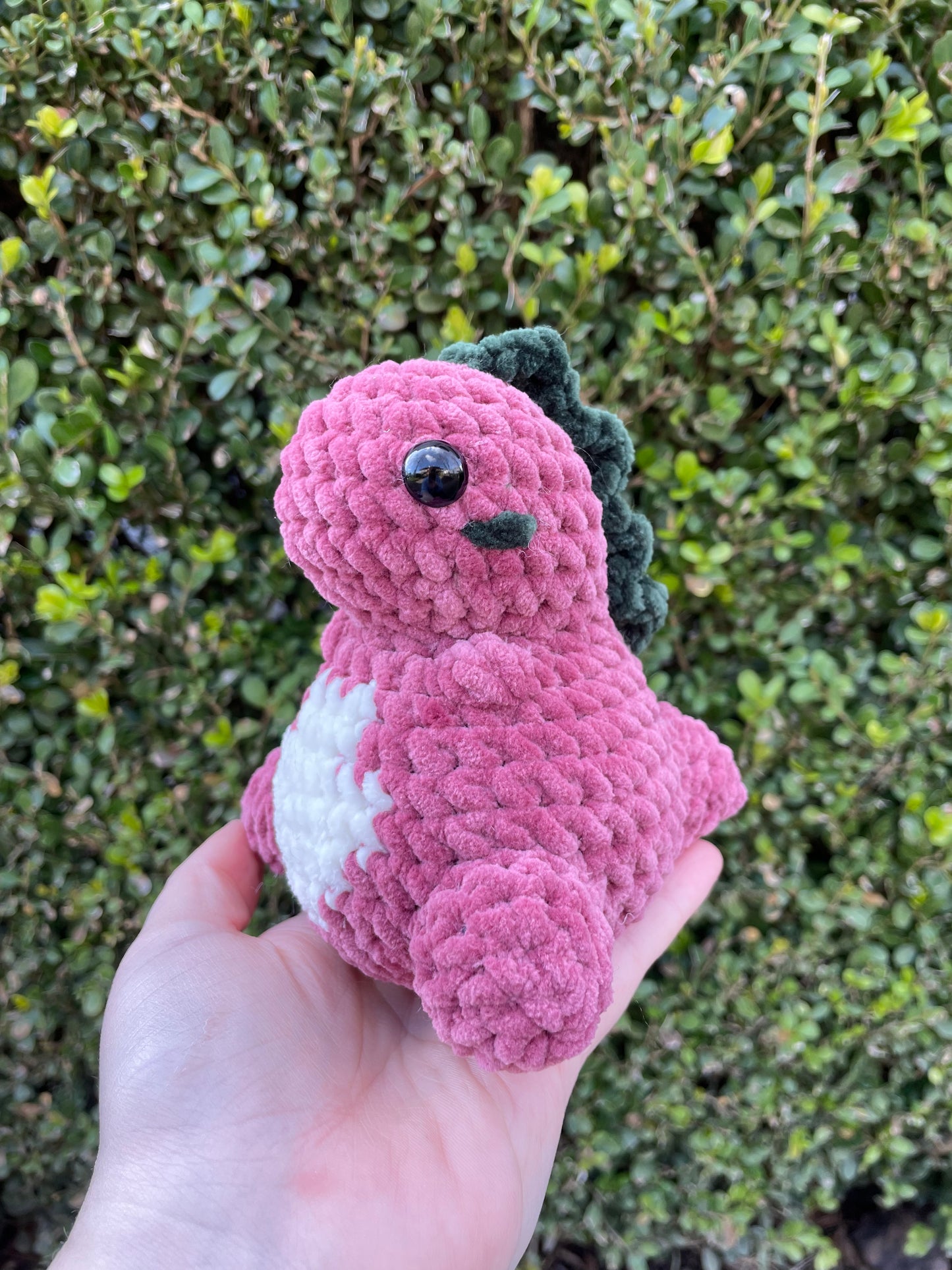 Mini Dino